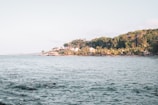 A serene coastal scene featuring gentle ocean waves and a distant shoreline. The horizon is lined with lush greenery and palm trees, interspersed with a few small buildings nestled among the foliage. The overall atmosphere feels tranquil and inviting.