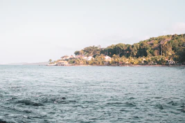 A warm, inviting coastal home bathed in sunlight with a gentle ocean breeze rustling nearby palm trees.