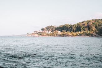 A serene view of a coastal Veracruz landscape with gentle waves and palm trees.