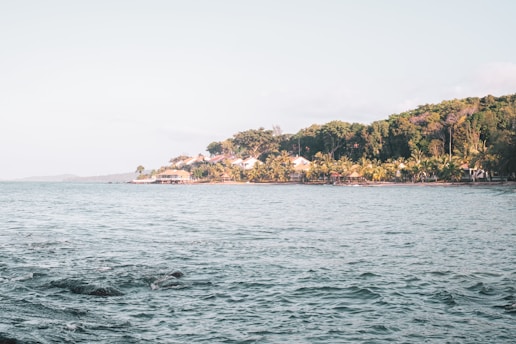 A serene view of a coastal Veracruz landscape with gentle waves and palm trees.