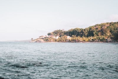 A serene coastal scene featuring gentle ocean waves and a distant shoreline. The horizon is lined with lush greenery and palm trees, interspersed with a few small buildings nestled among the foliage. The overall atmosphere feels tranquil and inviting.