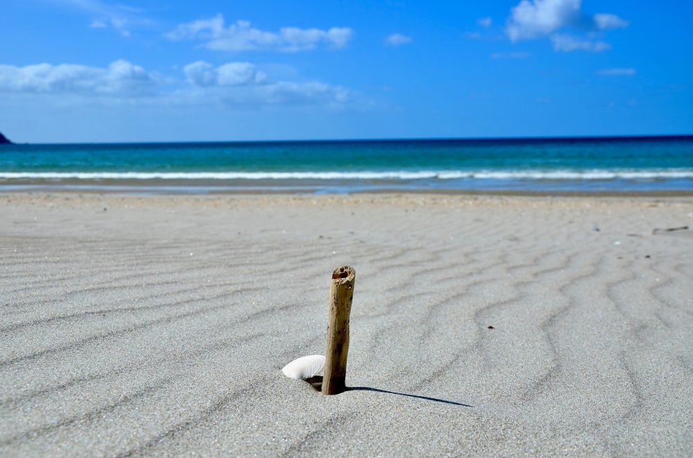 a piece of wood sticking out of the sand on a beach