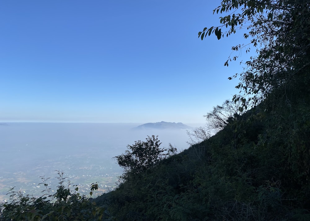 a view of a hill with a mountain in the distance