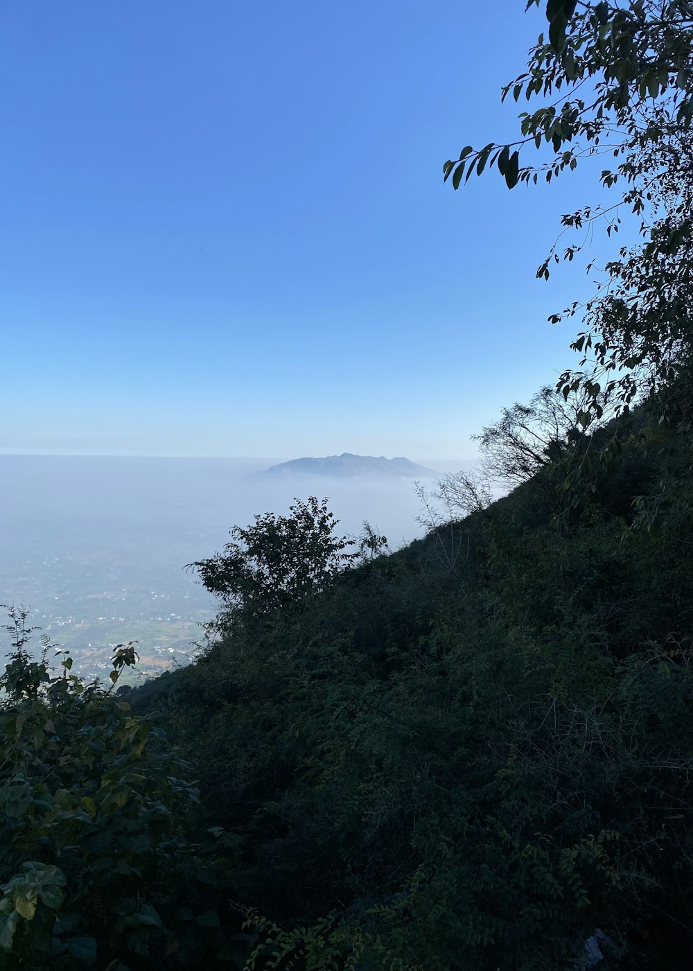 the view from the top of a hill