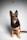 A trainer demonstrating commands to a dog in a training session.
