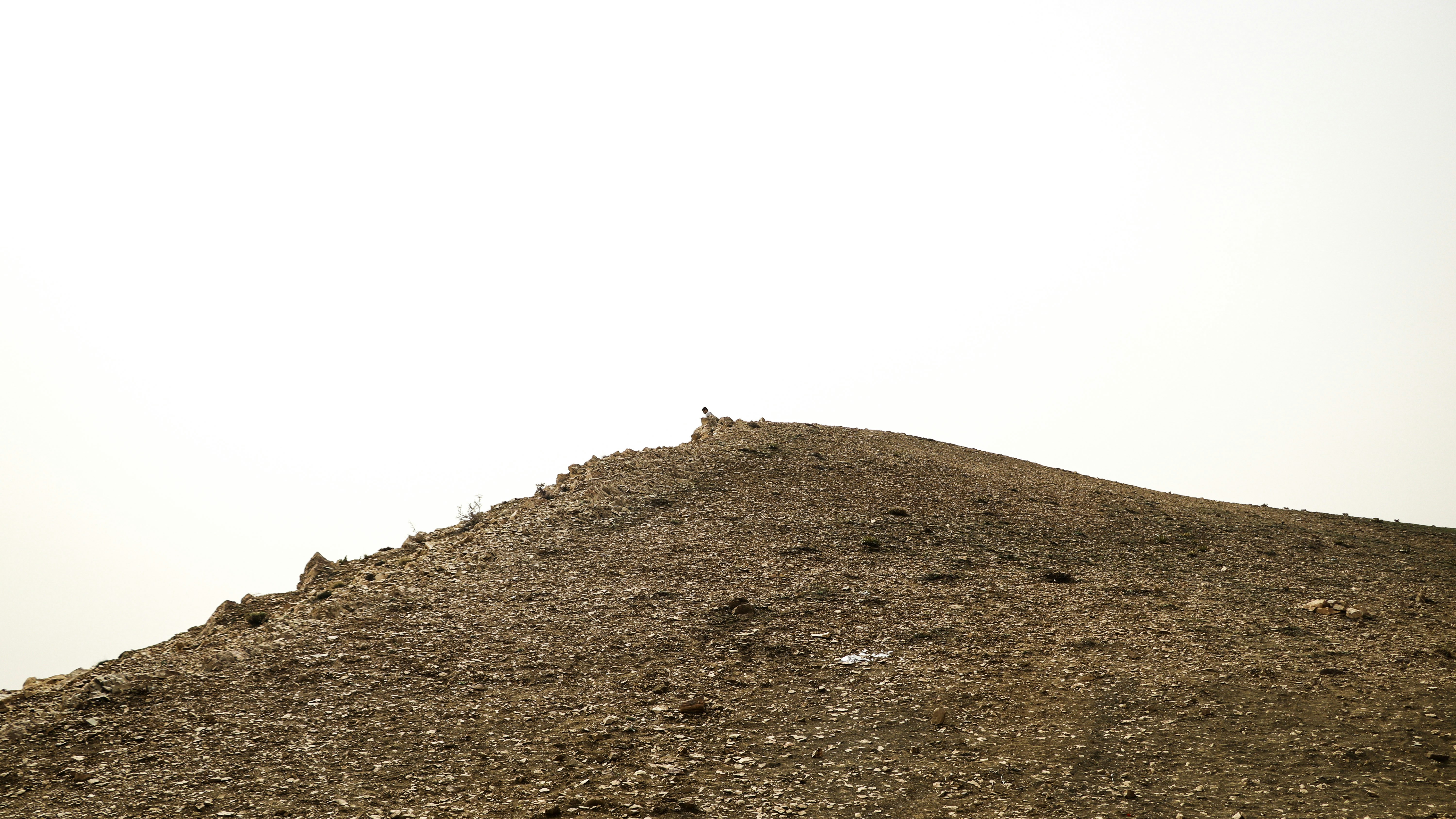 Photo by ehsaneslami