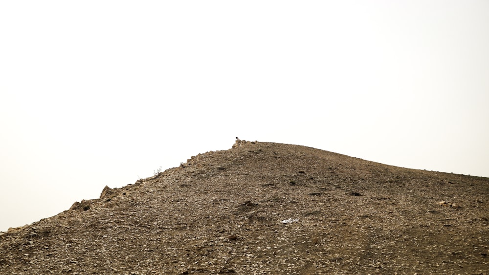 a man standing on top of a dirt hill