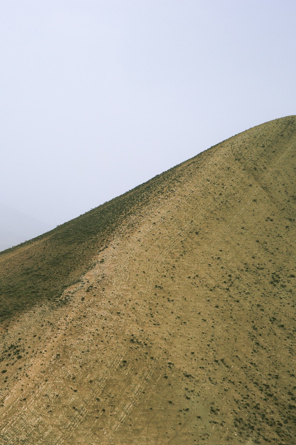 a man riding a horse on top of a hill