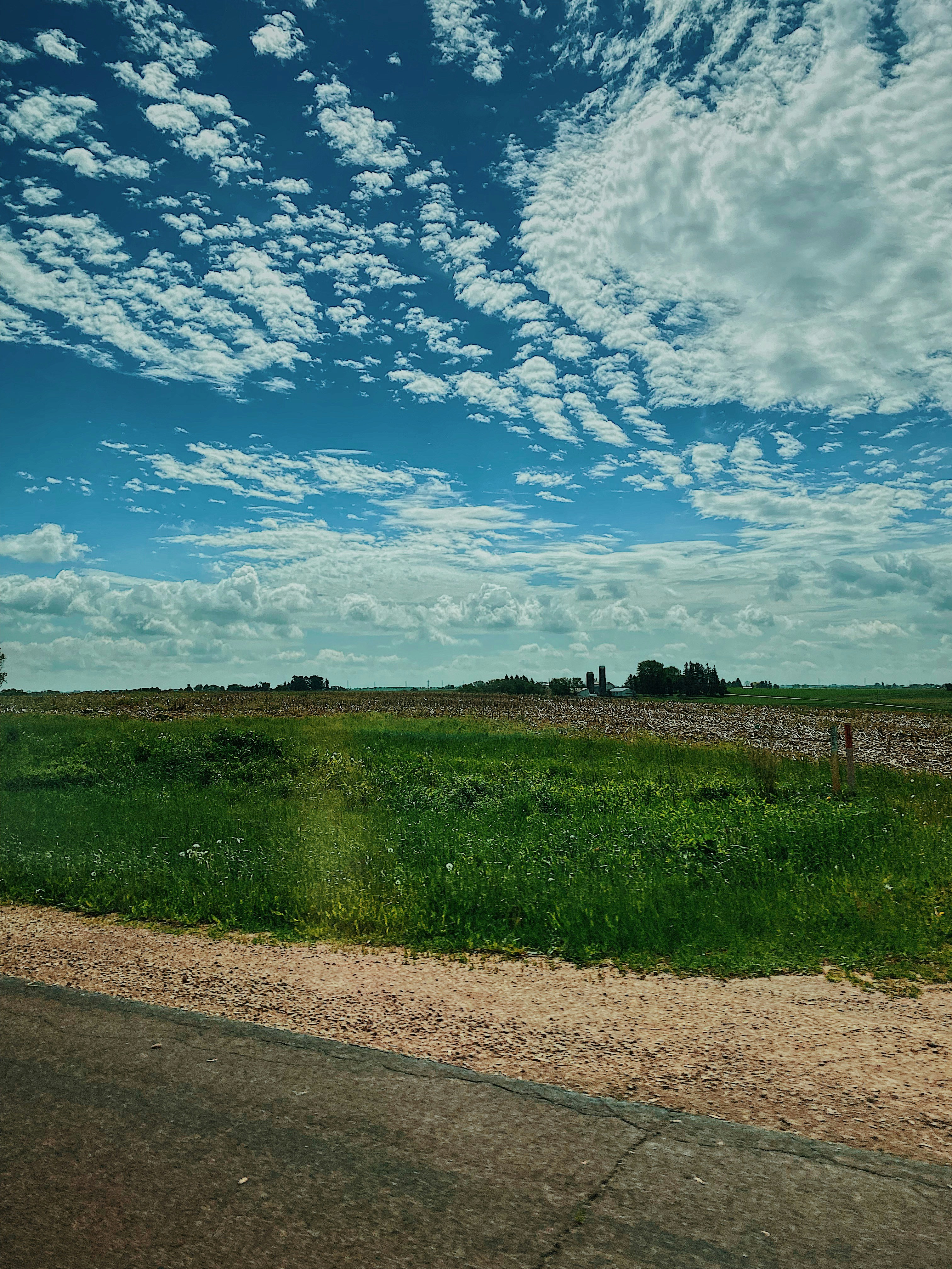 Photo by psychoticcherries420