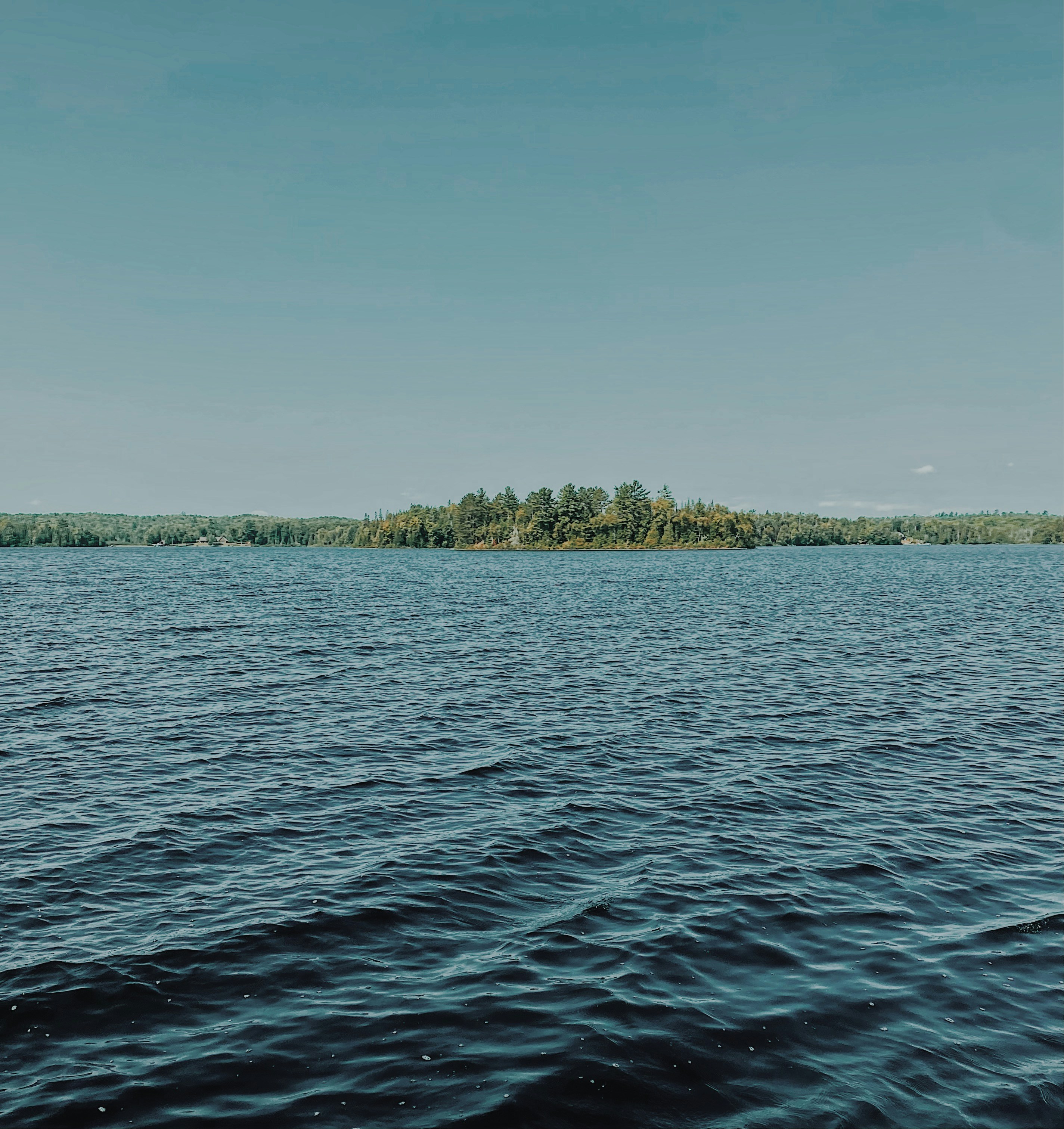 Photo by psychoticcherries420