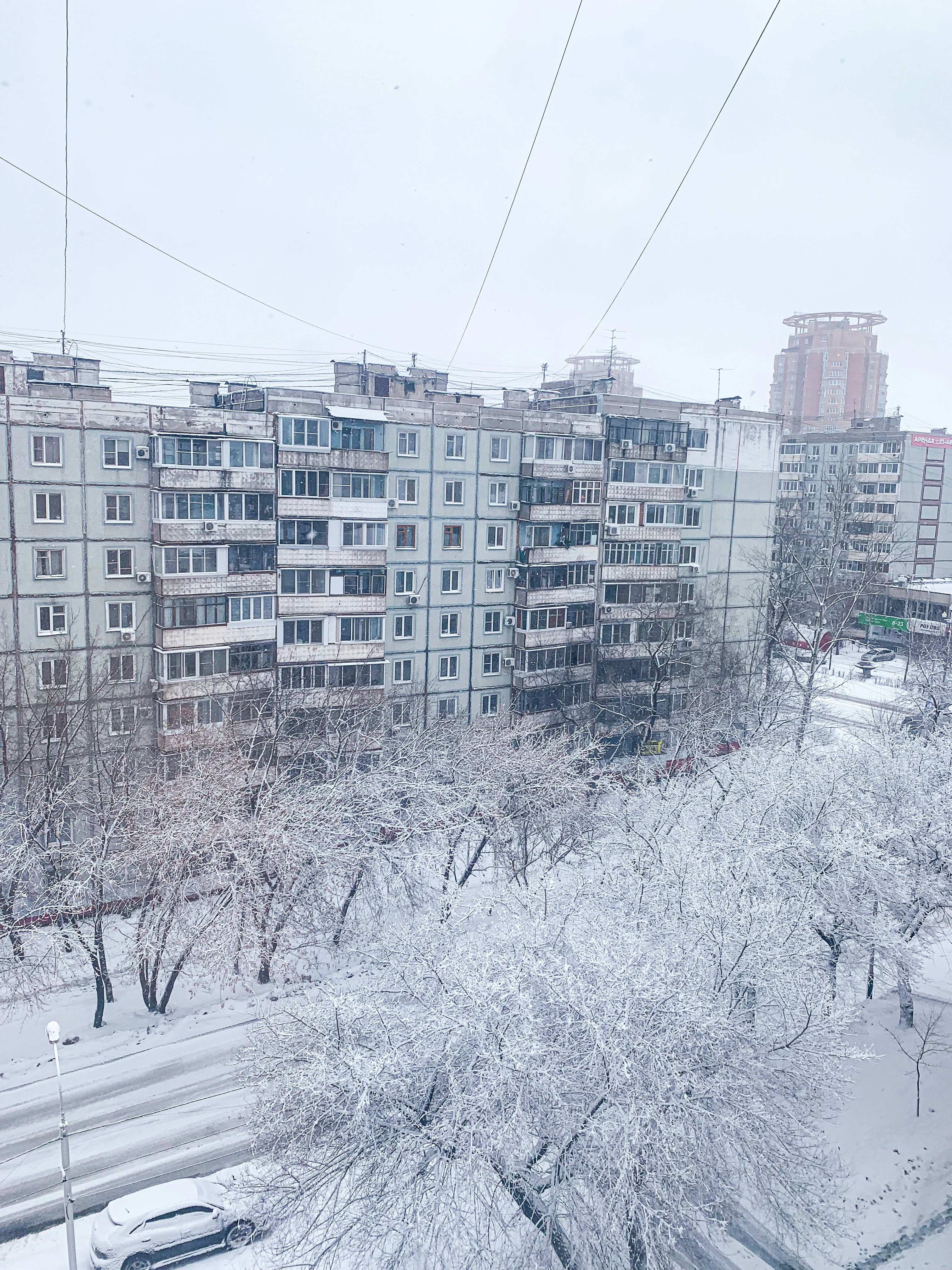 Photo by elizveta