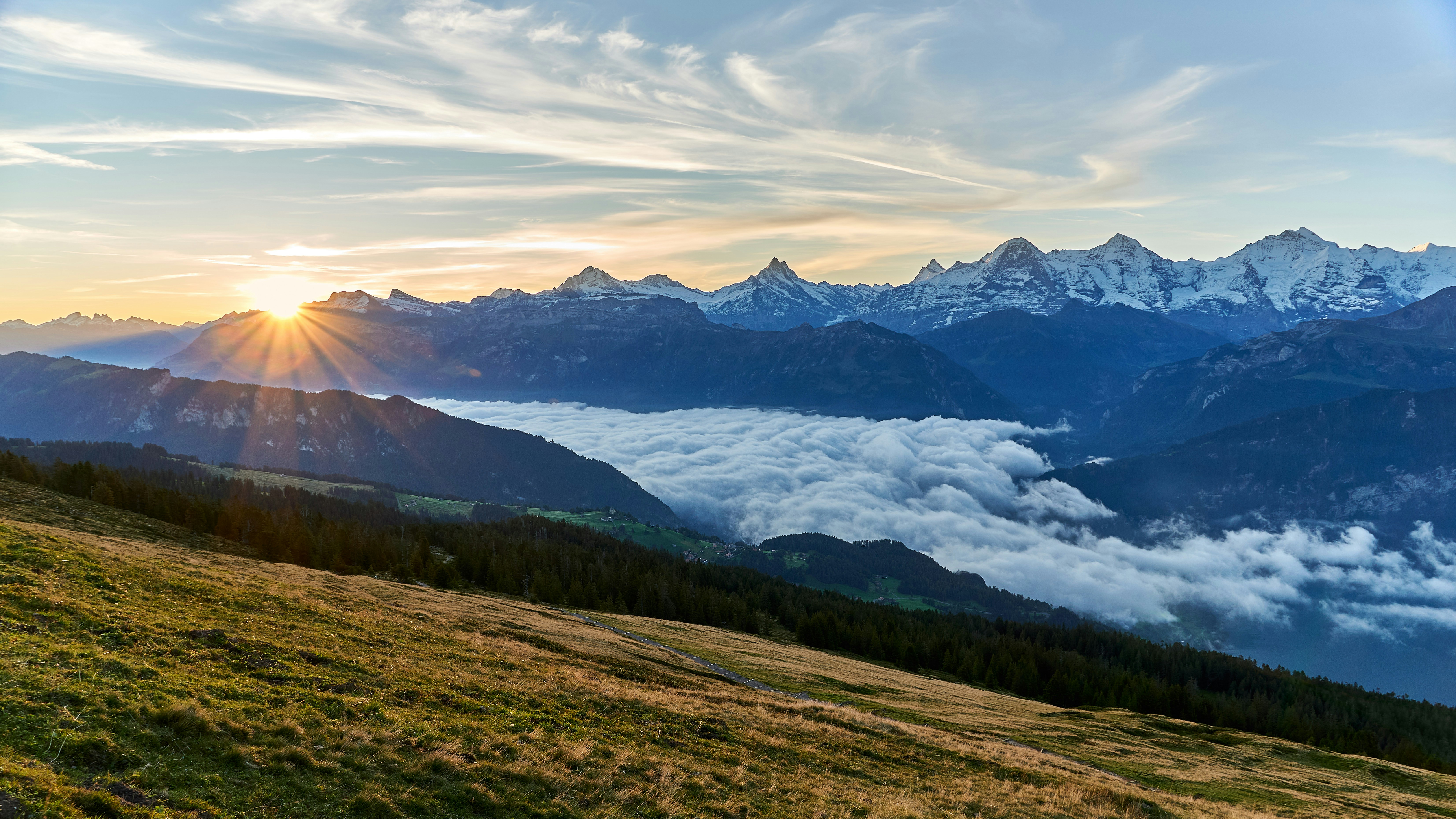 Photo by peter_borter