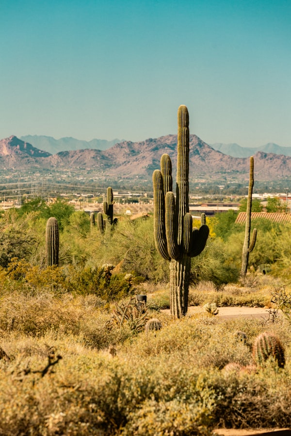 Landscape photo by Tobias Tullius