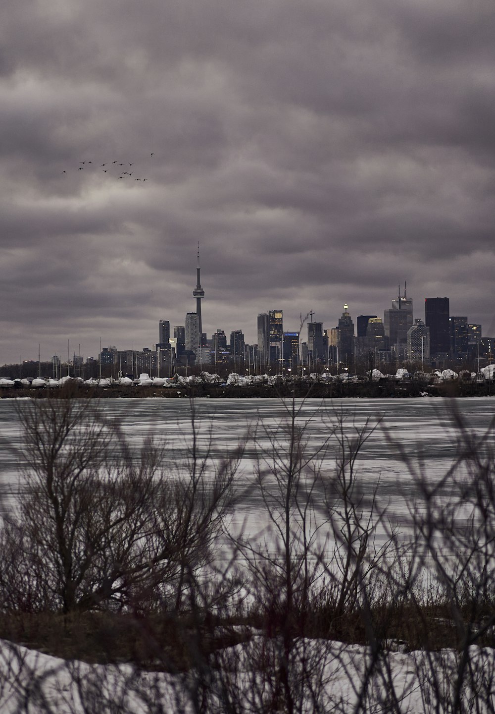 a view of a city from across the water