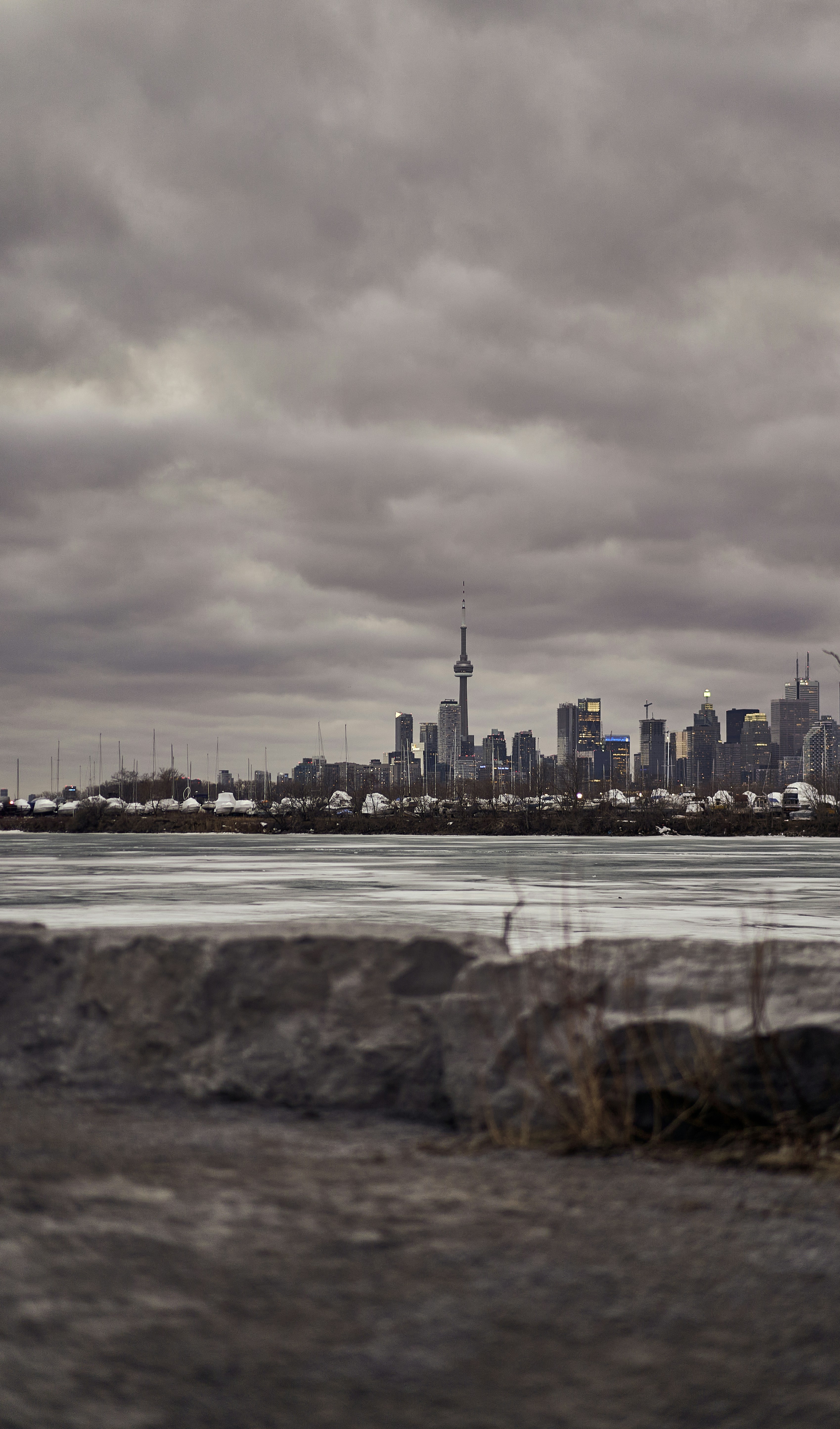 Photo by suicide_chewbacca