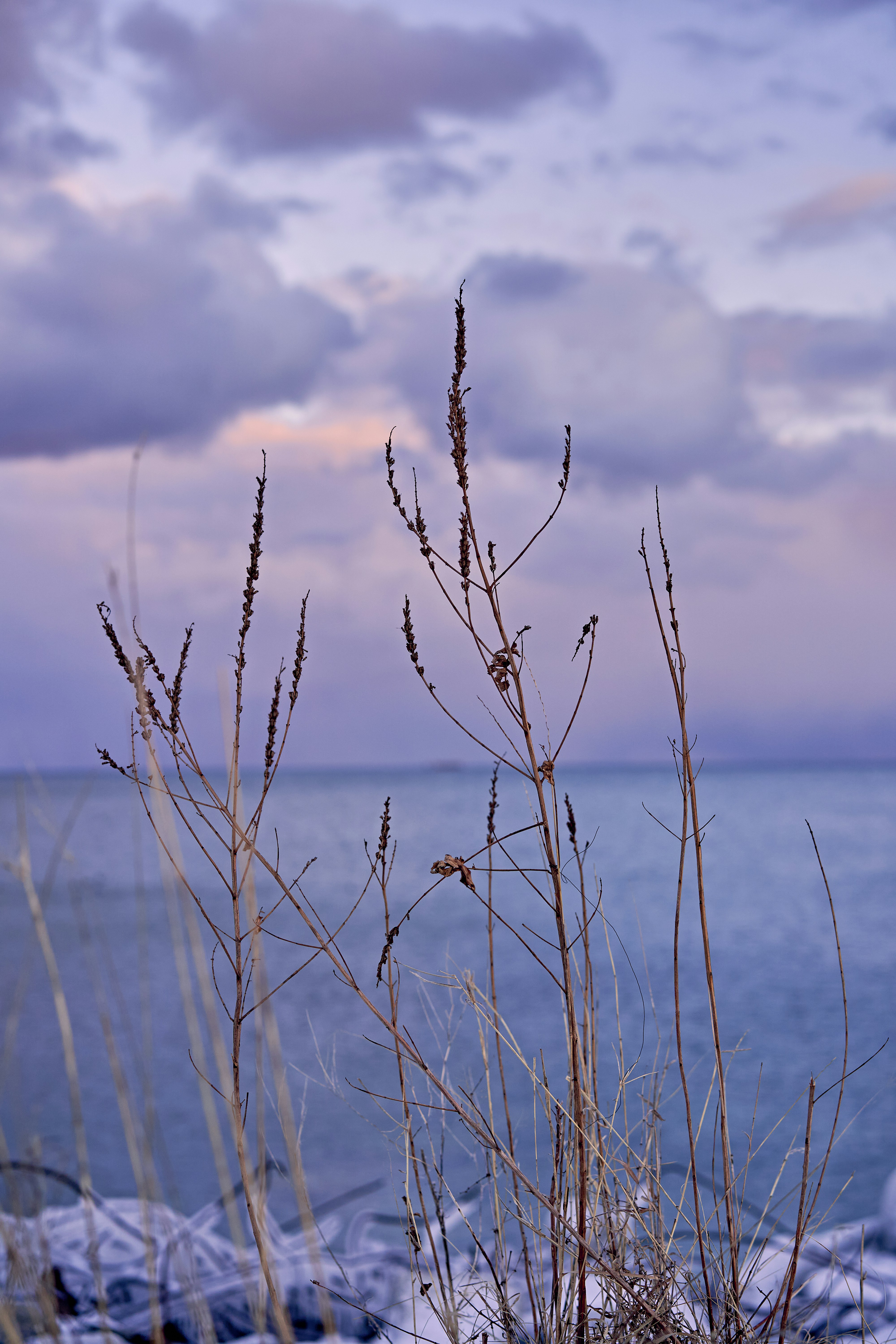 Photo by suicide_chewbacca