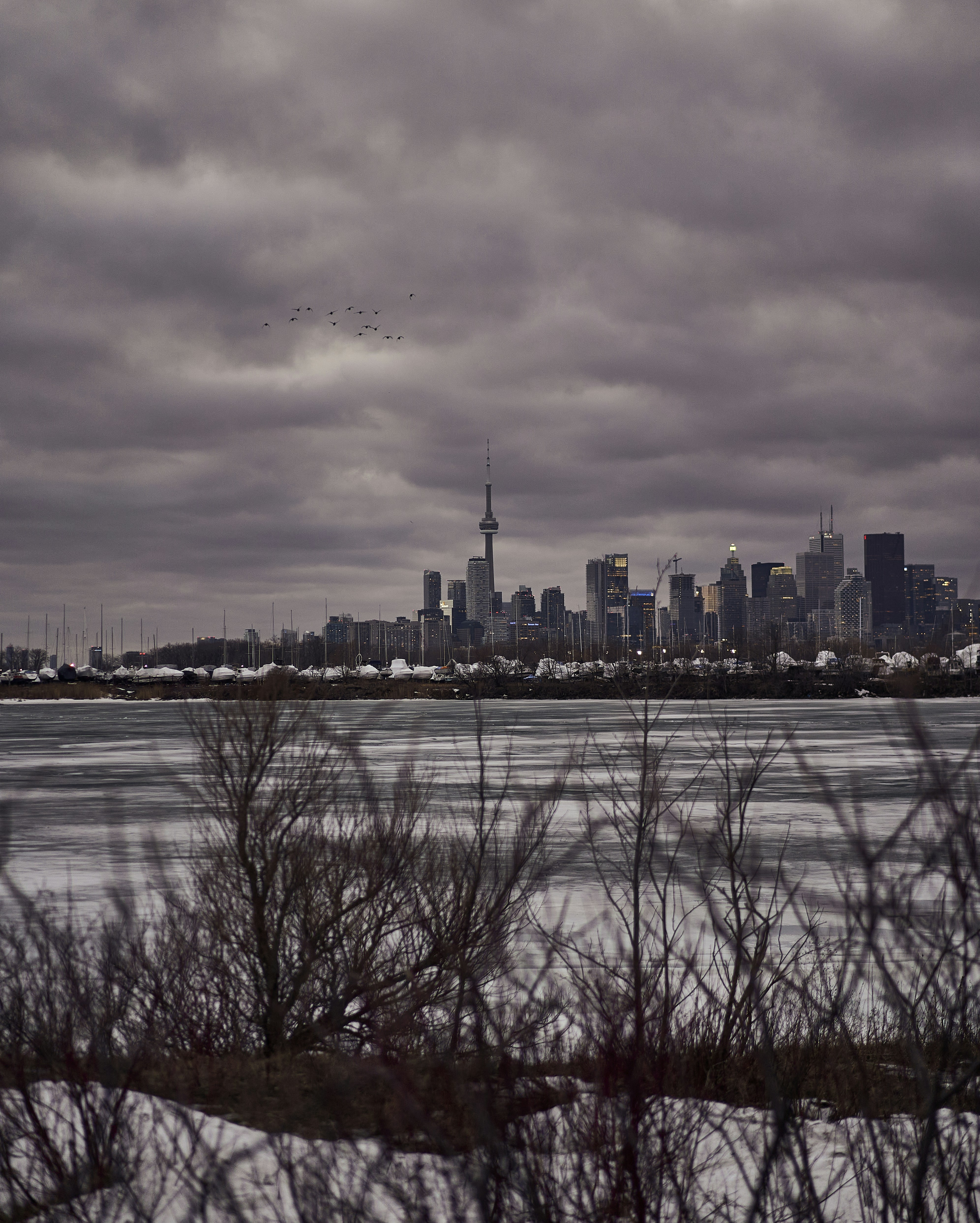 a view of a city from across a body of water