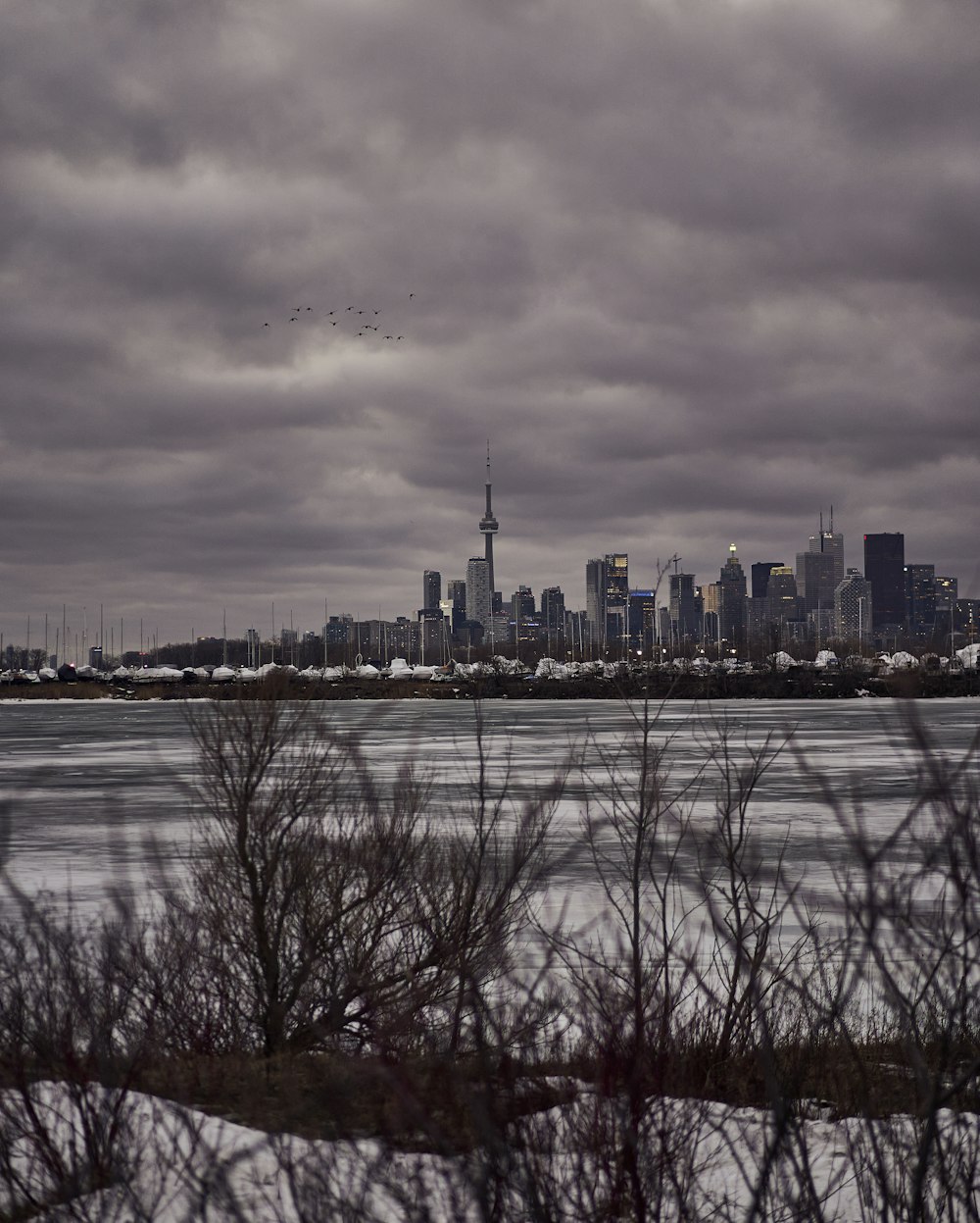 a view of a city from across a body of water