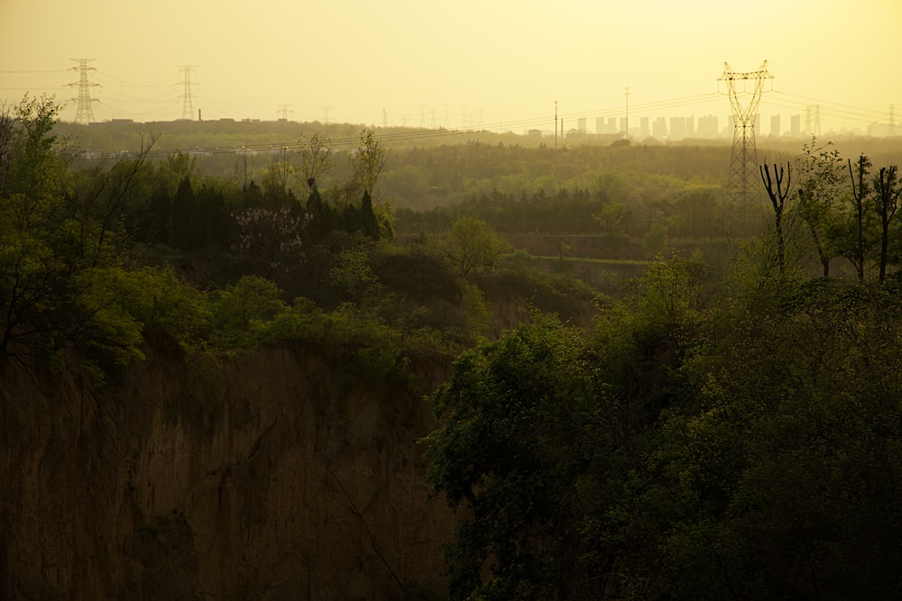 a view of a hillside with power lines in the distance