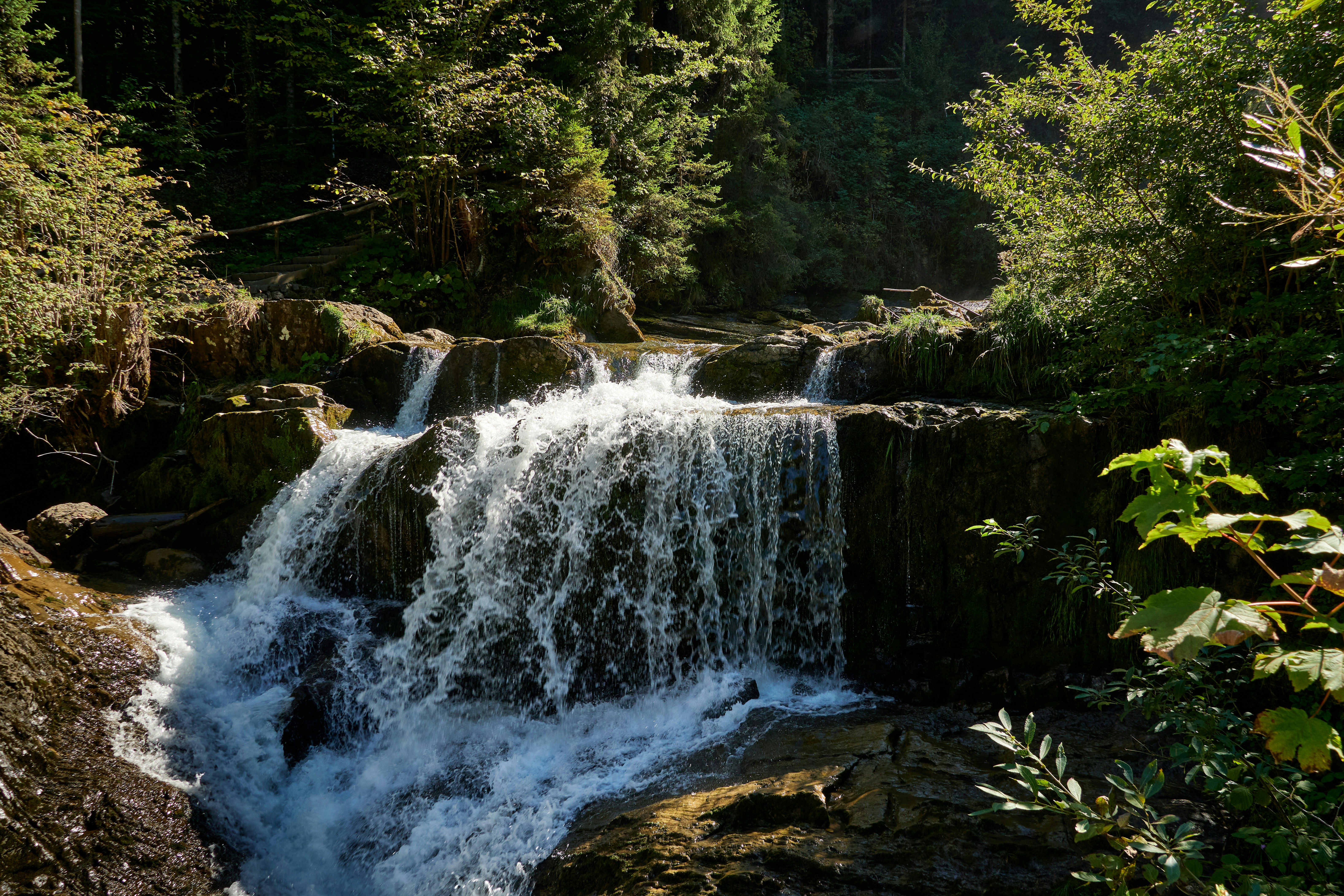 Photo by peter_borter