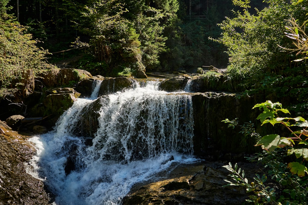 a small waterfall in the middle of a forest