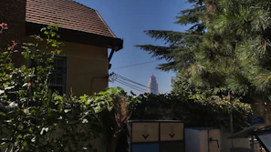 Wide shot of a completed tiled roof on a charming house surrounded by greenery.