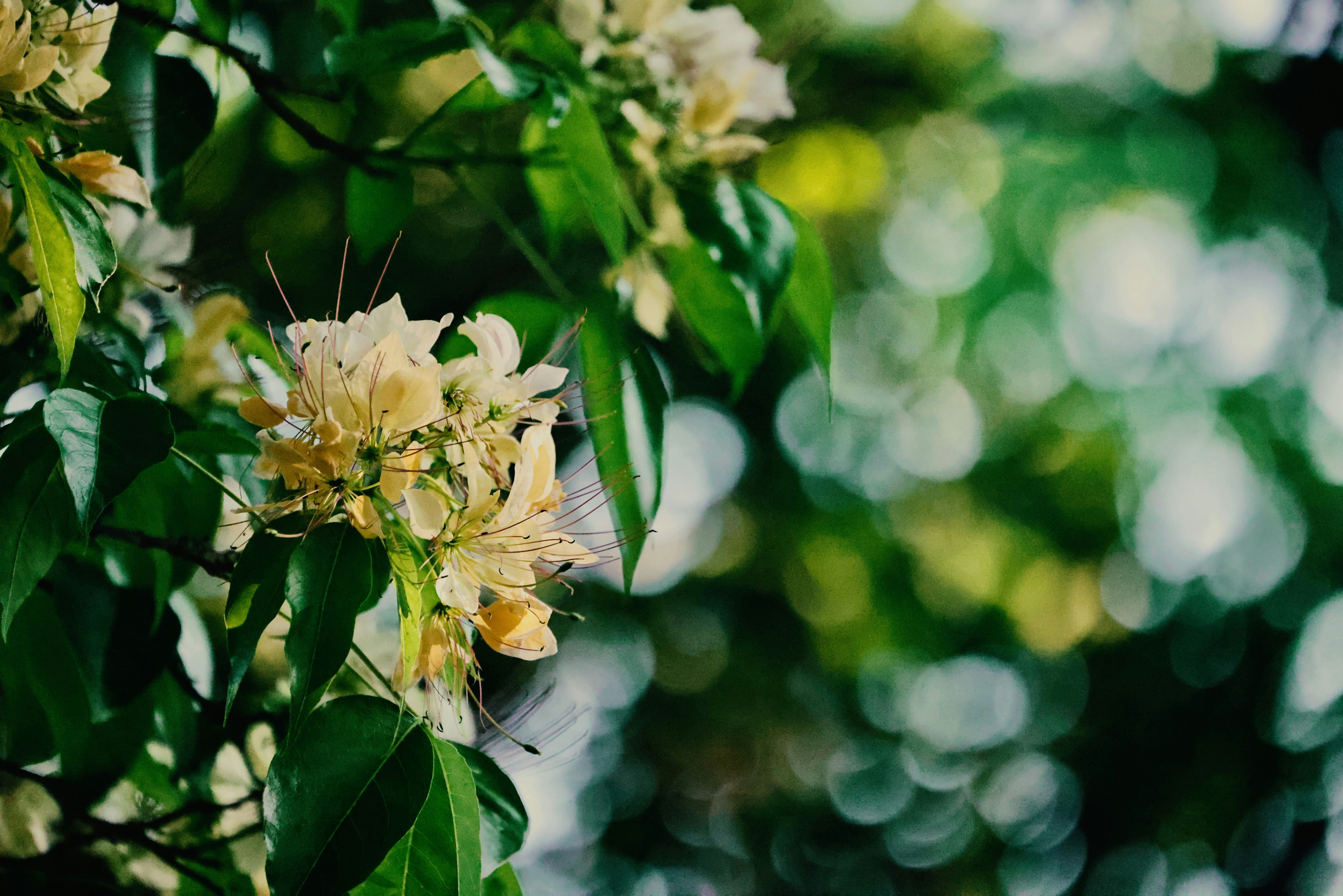 Photo by dickenslin76