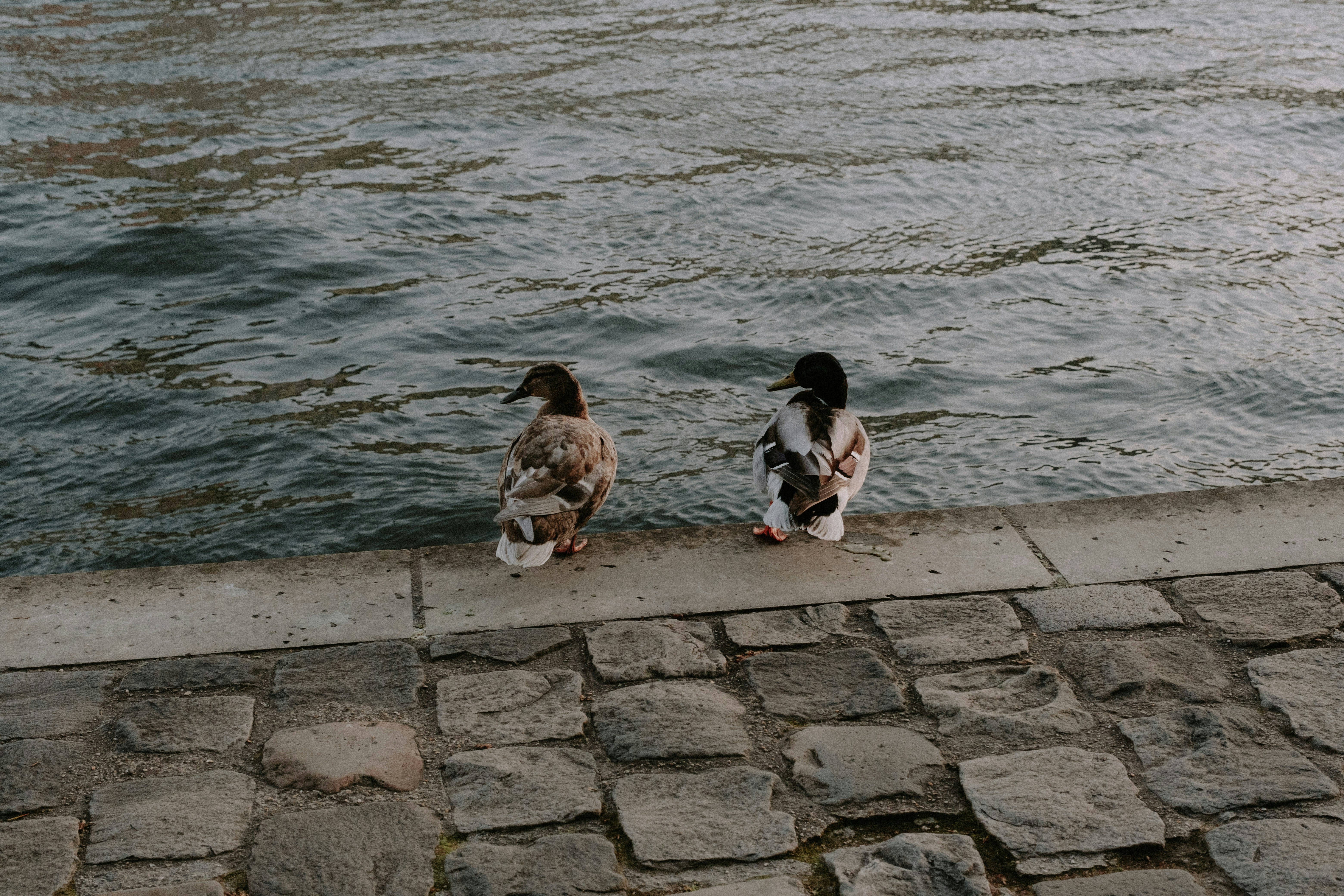 Photo by matreding