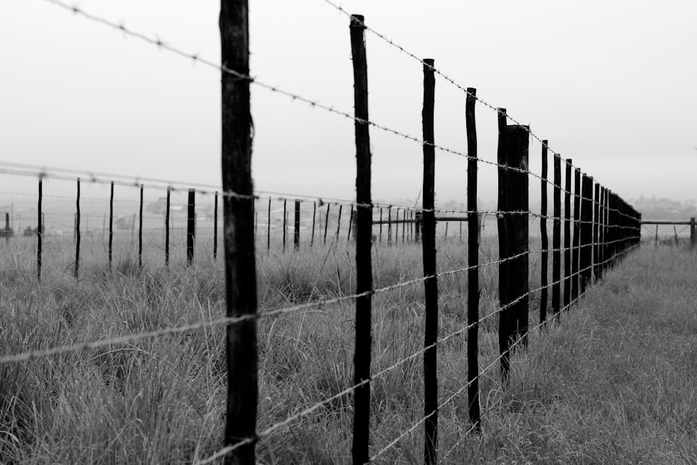 a black and white photo of a barbed wire fence