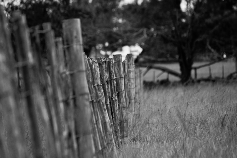a black and white photo of a wooden fence