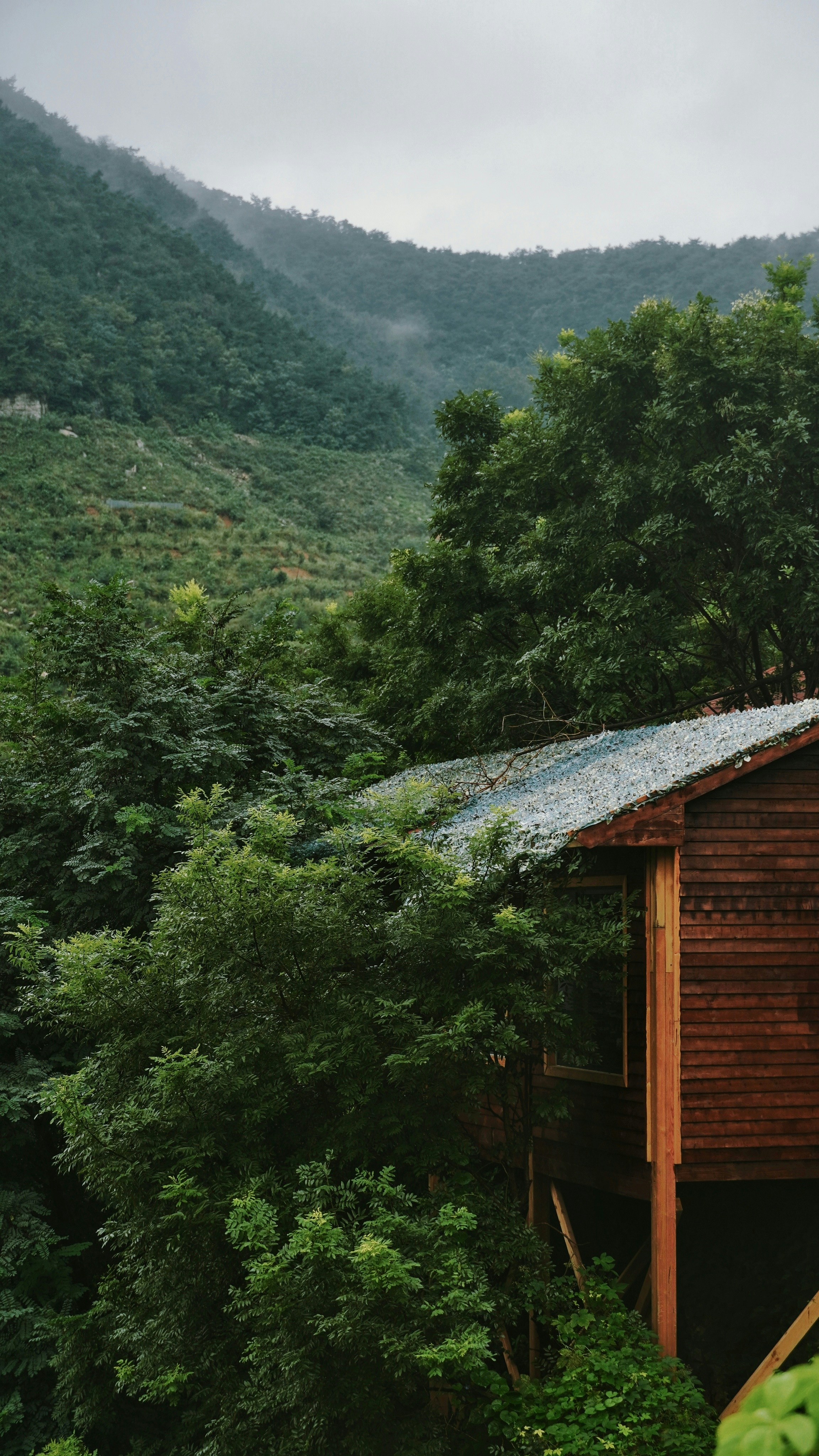 Photo by fenmeihandai