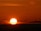 A beautiful sunset with a large, glowing sun near the horizon, casting an orange hue across the sky. In the foreground, several wind turbines are silhouetted against the vibrant backdrop, suggesting a sustainable energy scene.
