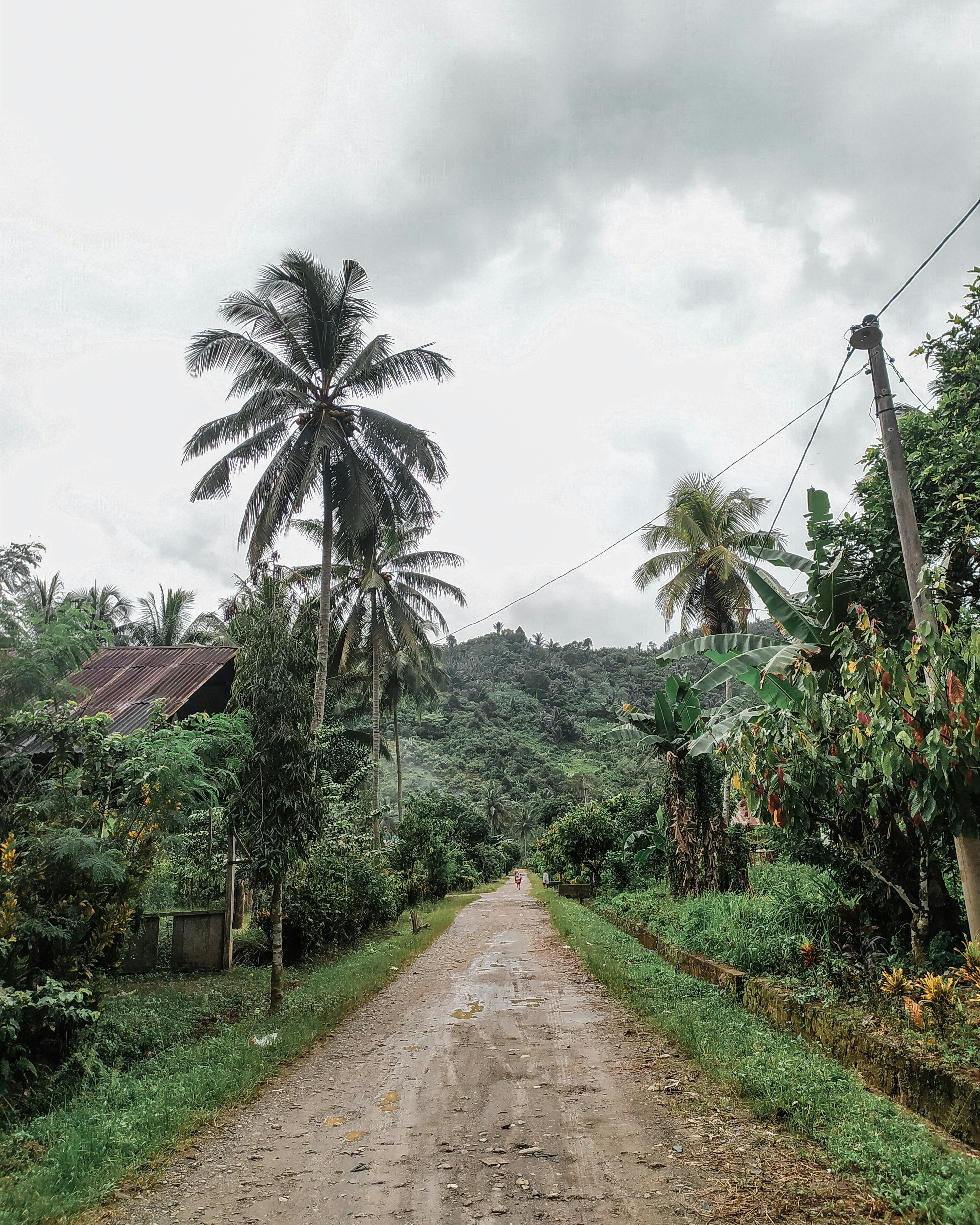 A lush tropical rainforest path winding toward the misty Arenal Volcano under a vibrant turquoise sky.