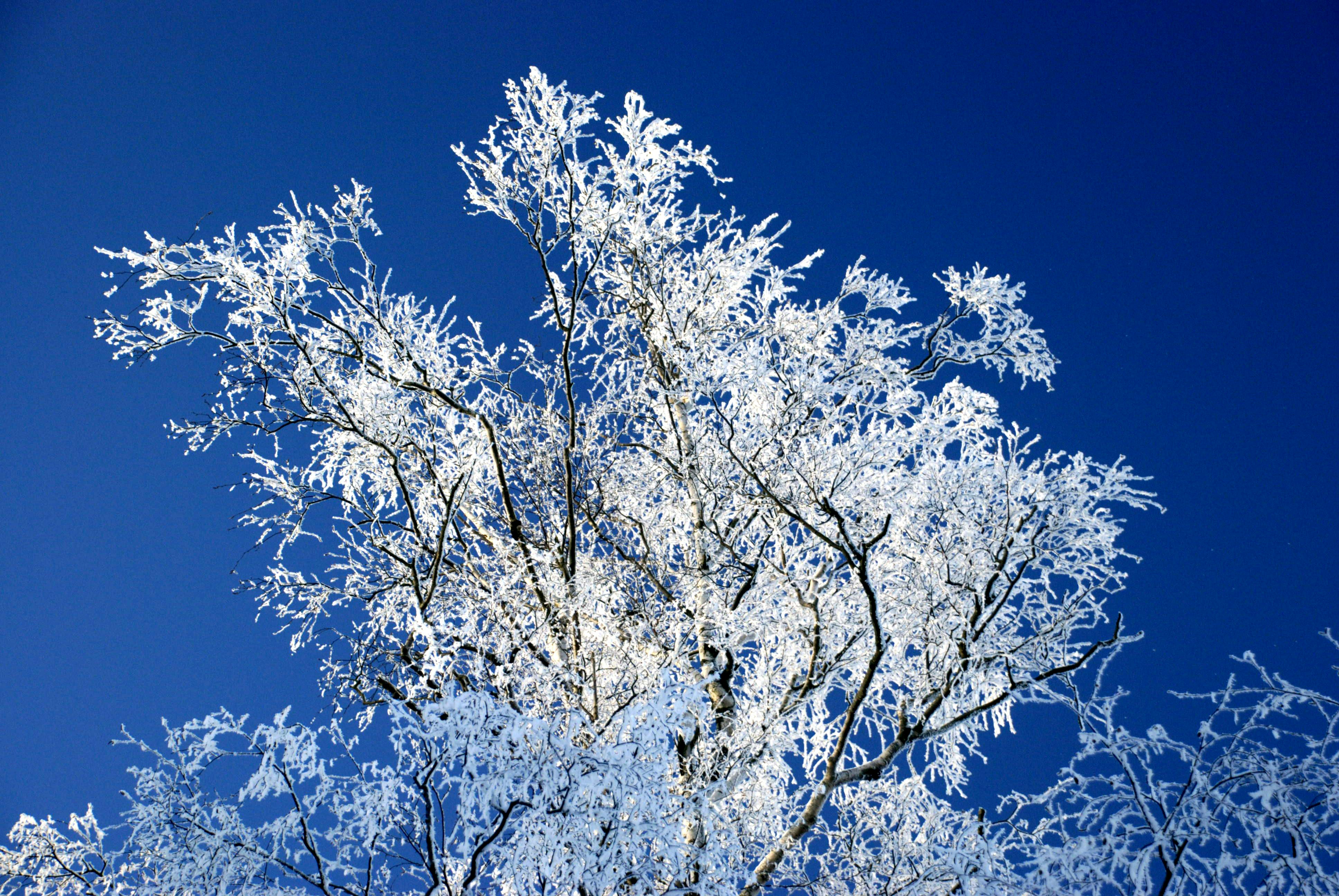 Photo by jandira_sonnendeck