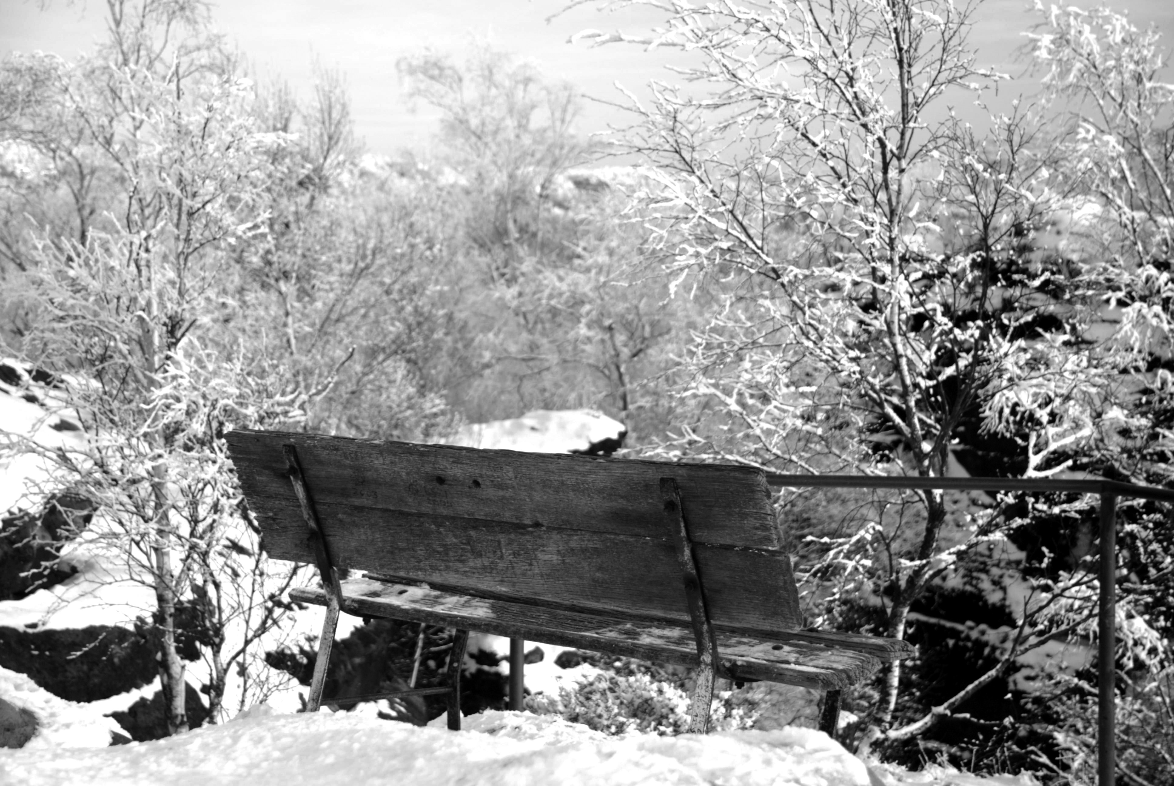 Photo by jandira_sonnendeck