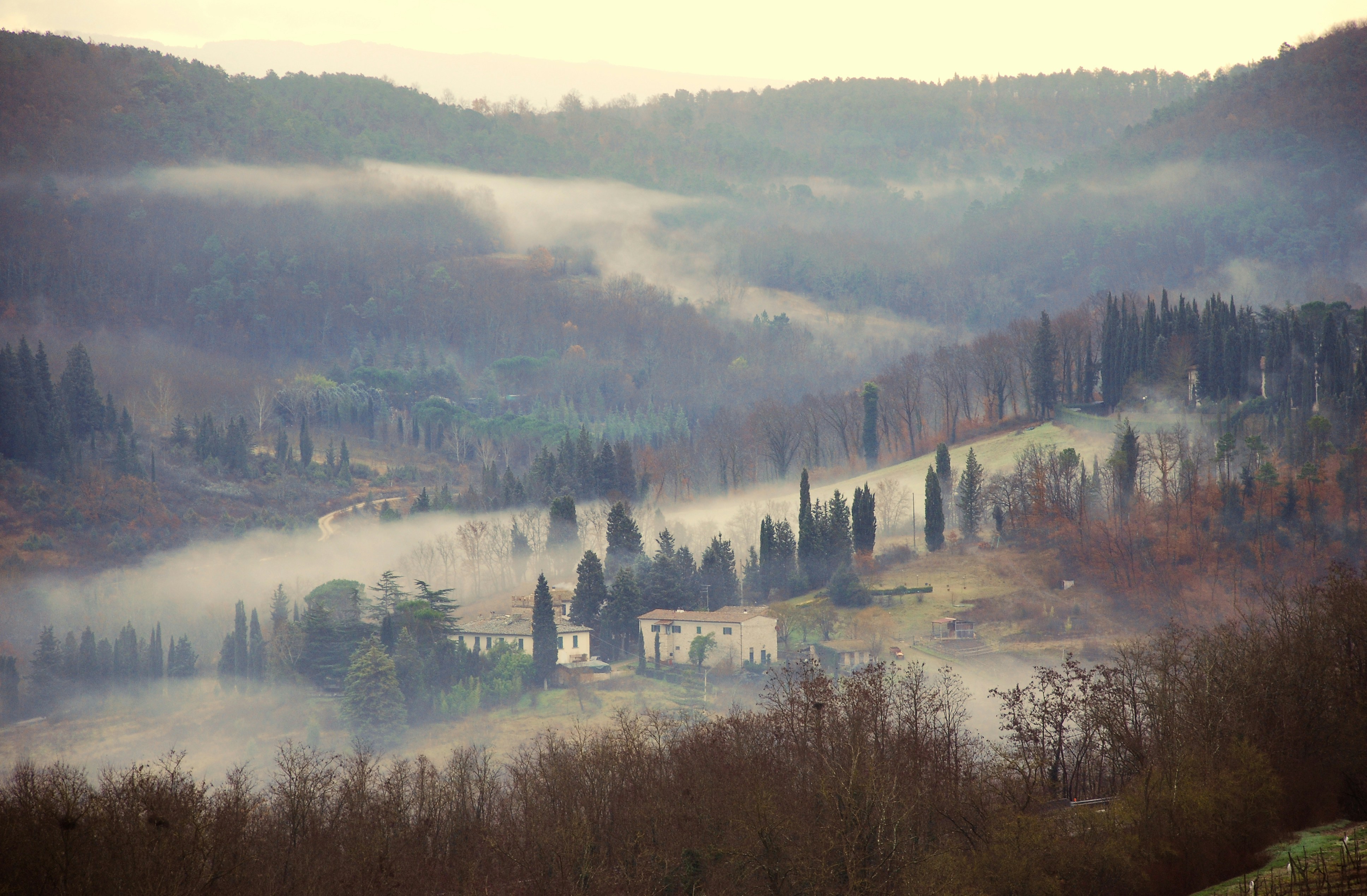 Image by Jandira Sonnendeck via Unsplash