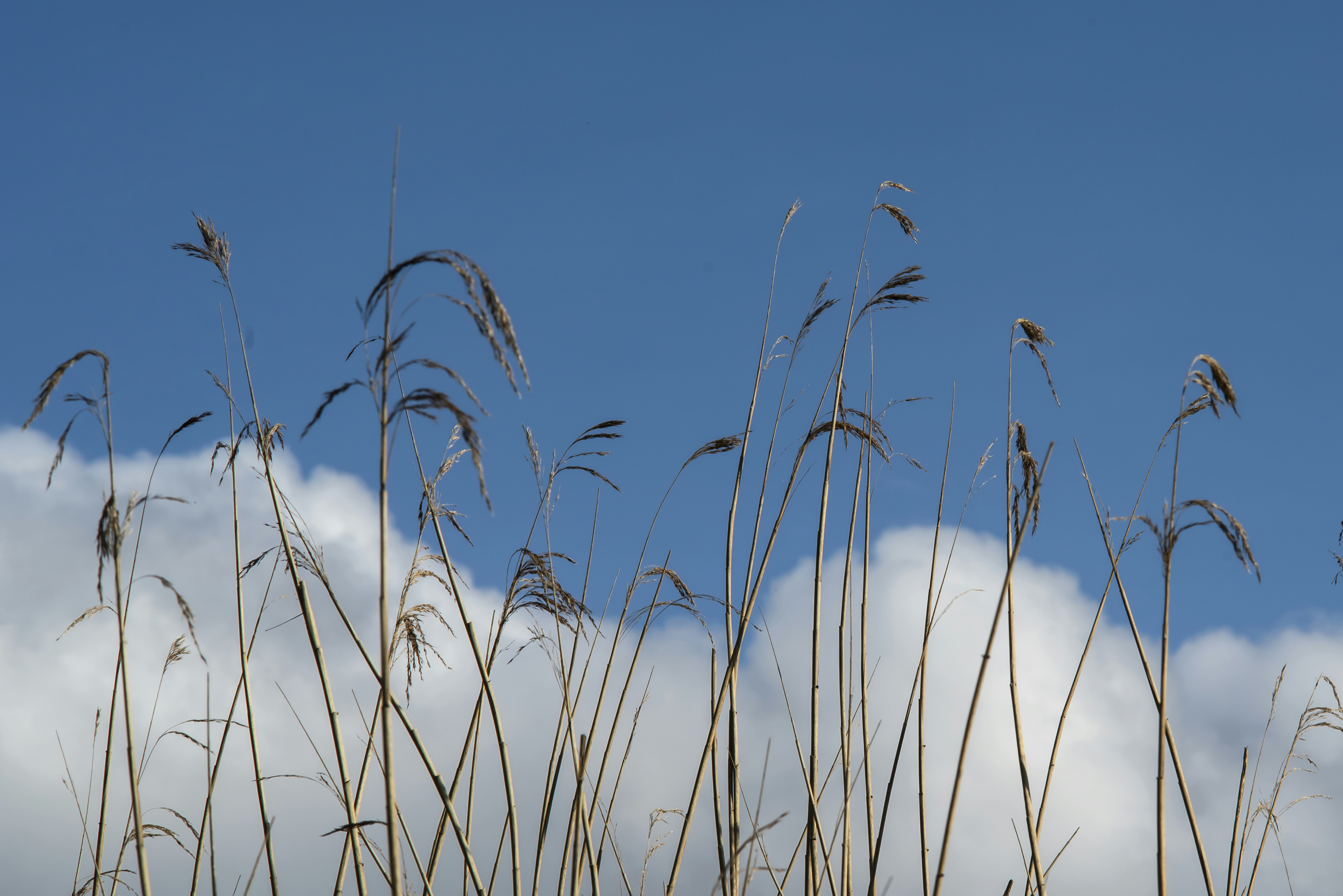 Photo by switch_dtp_fotografie