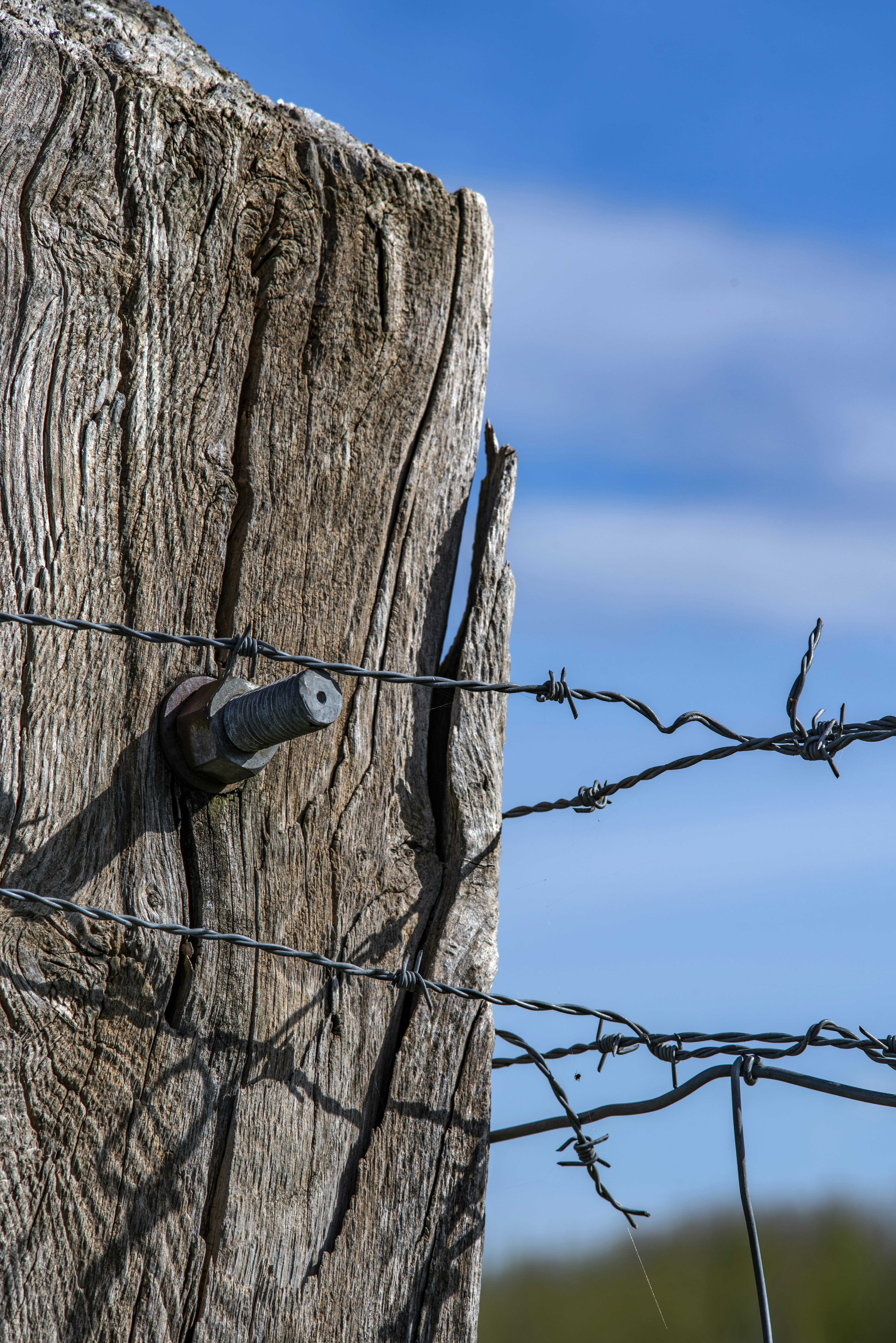 a close up of a wooden post with barbed wire