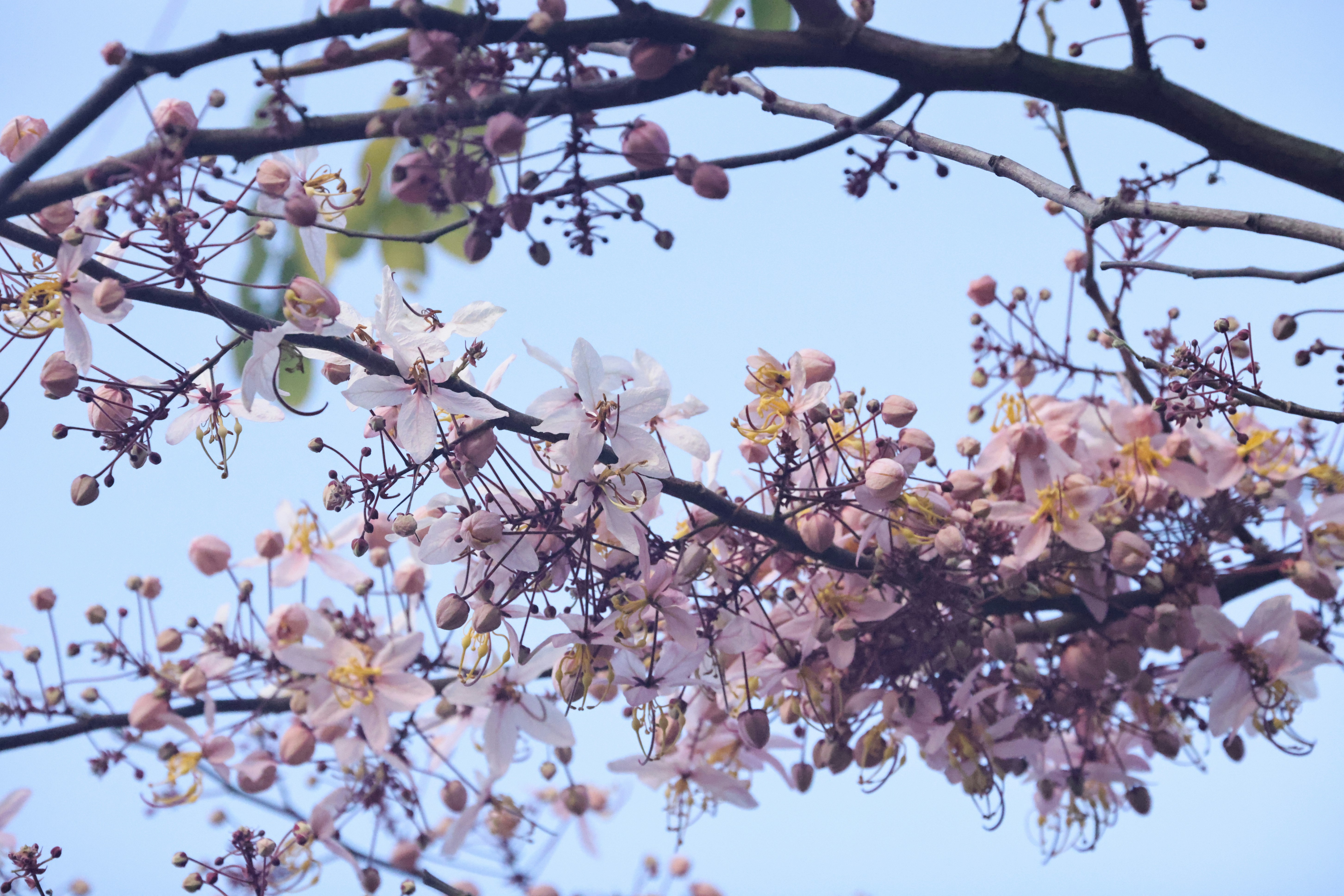 Photo by dickenslin76