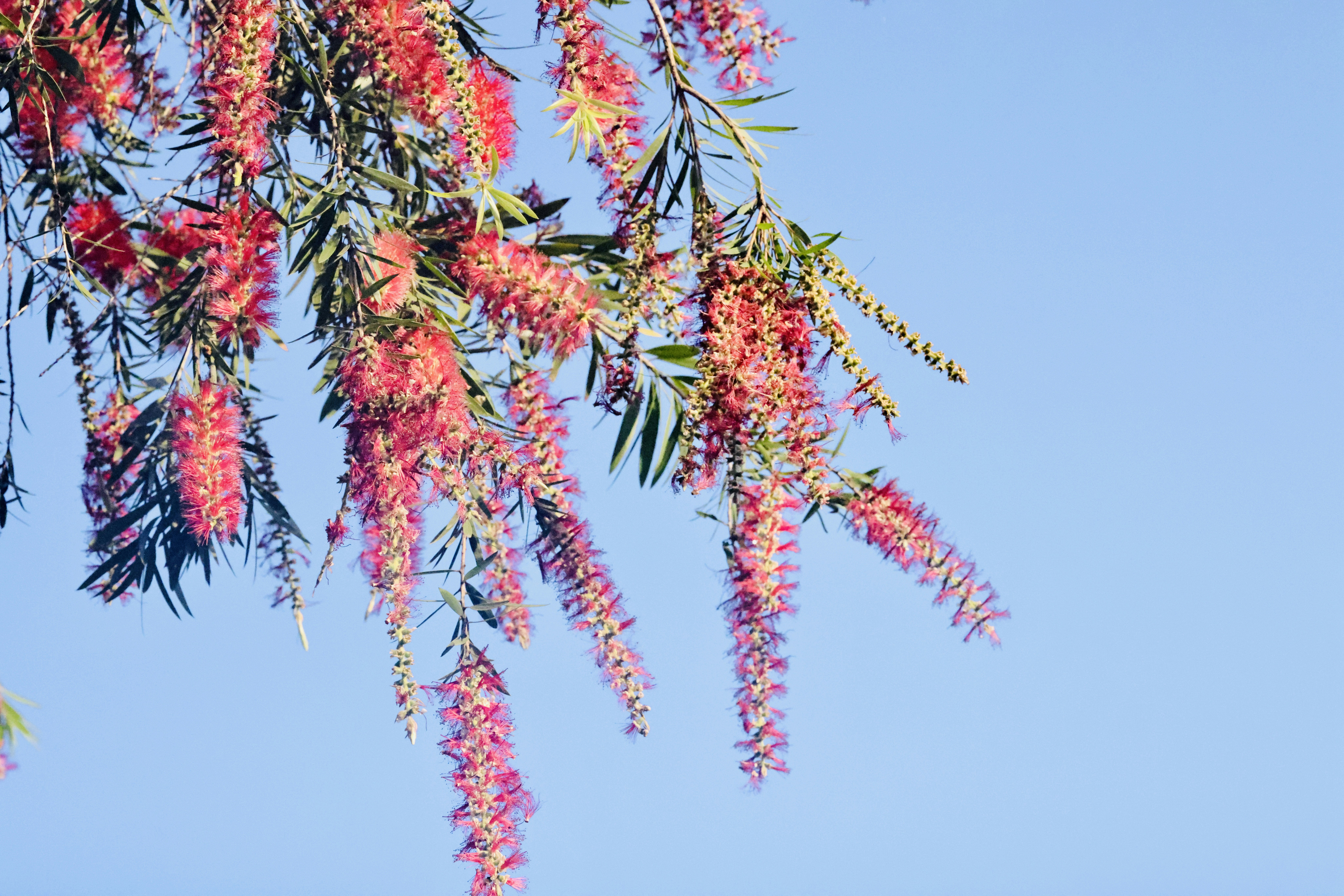 Photo by dickenslin76