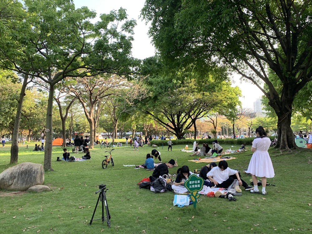 a group of people sitting on top of a lush green park