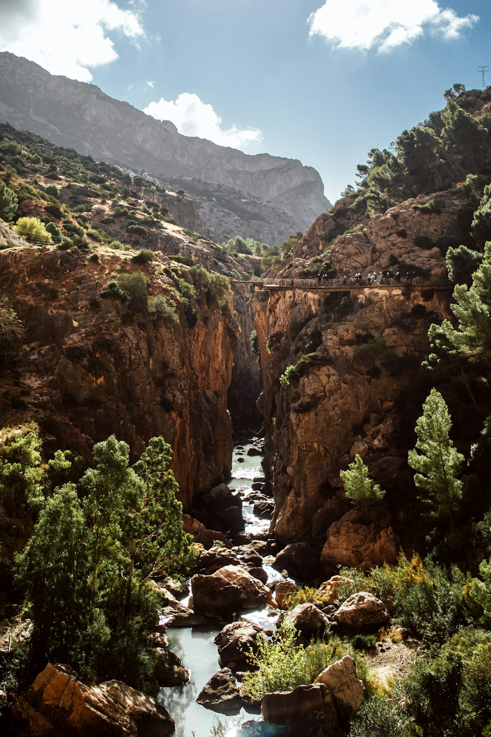 a river running through a canyon surrounded by mountains