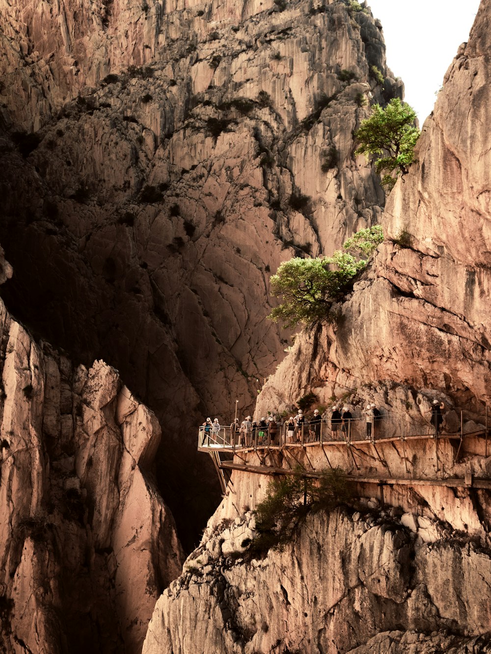 a group of people standing on a wooden bridge over a canyon