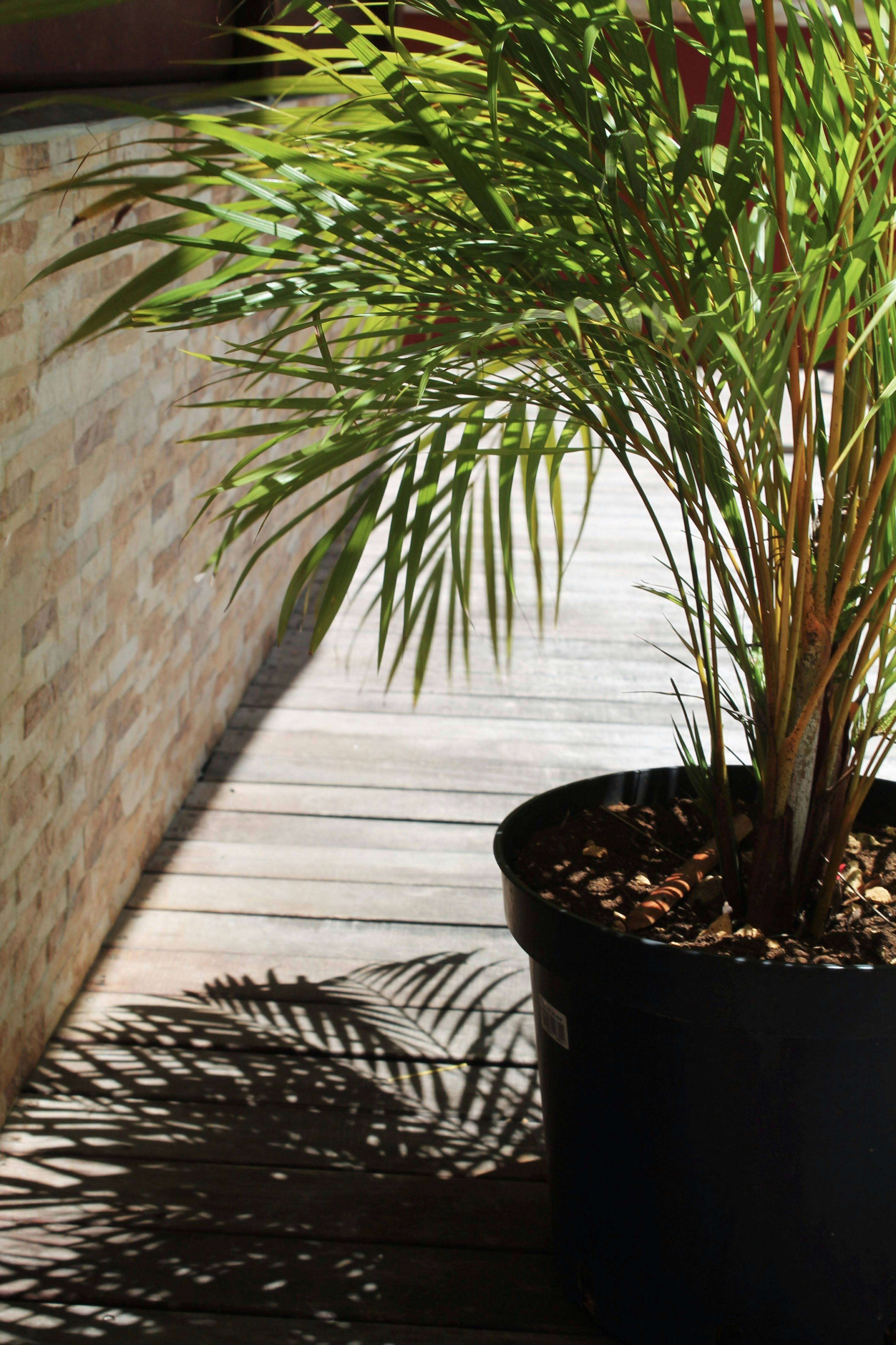 Photo by joshuajumarie