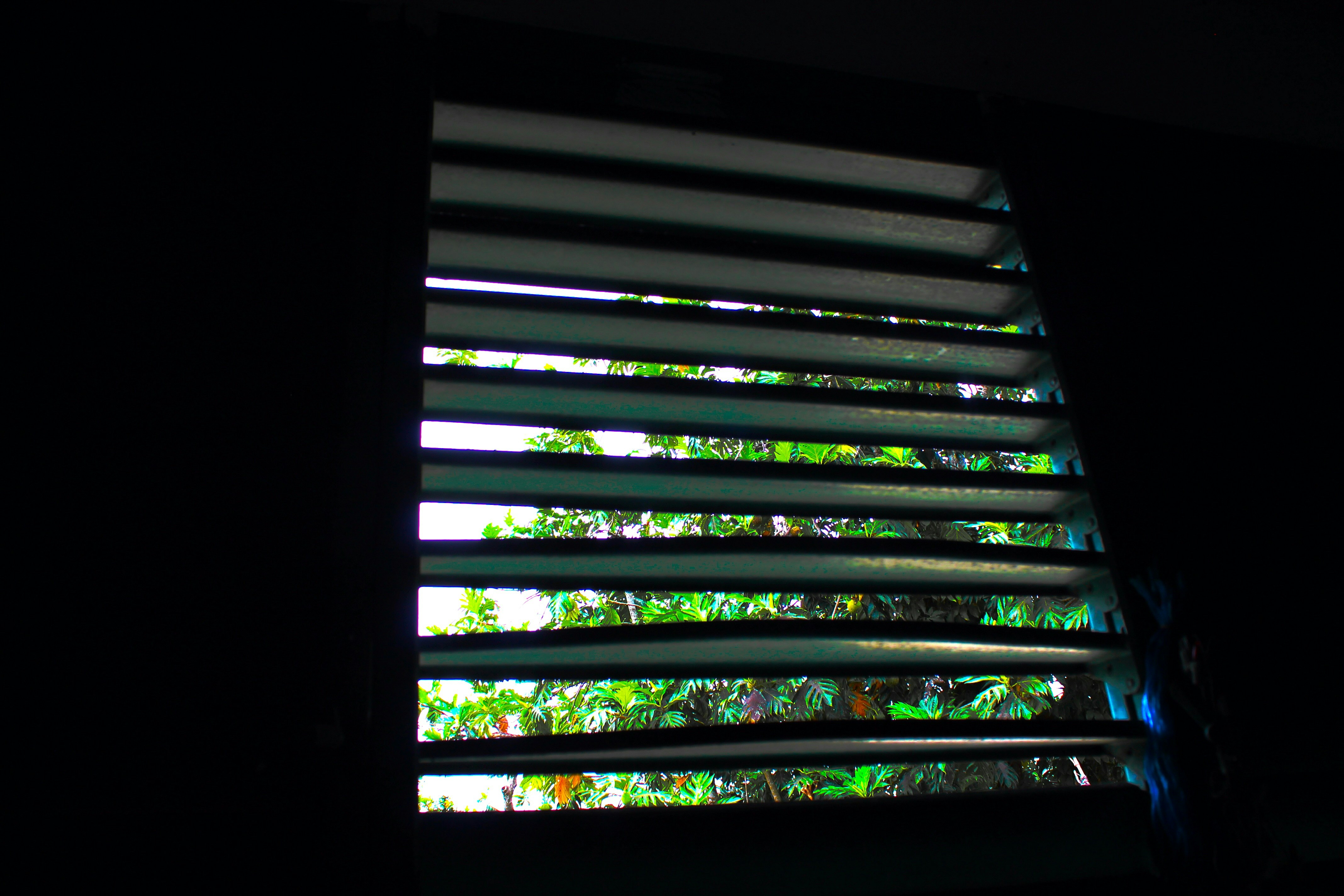 Photo by joshuajumarie