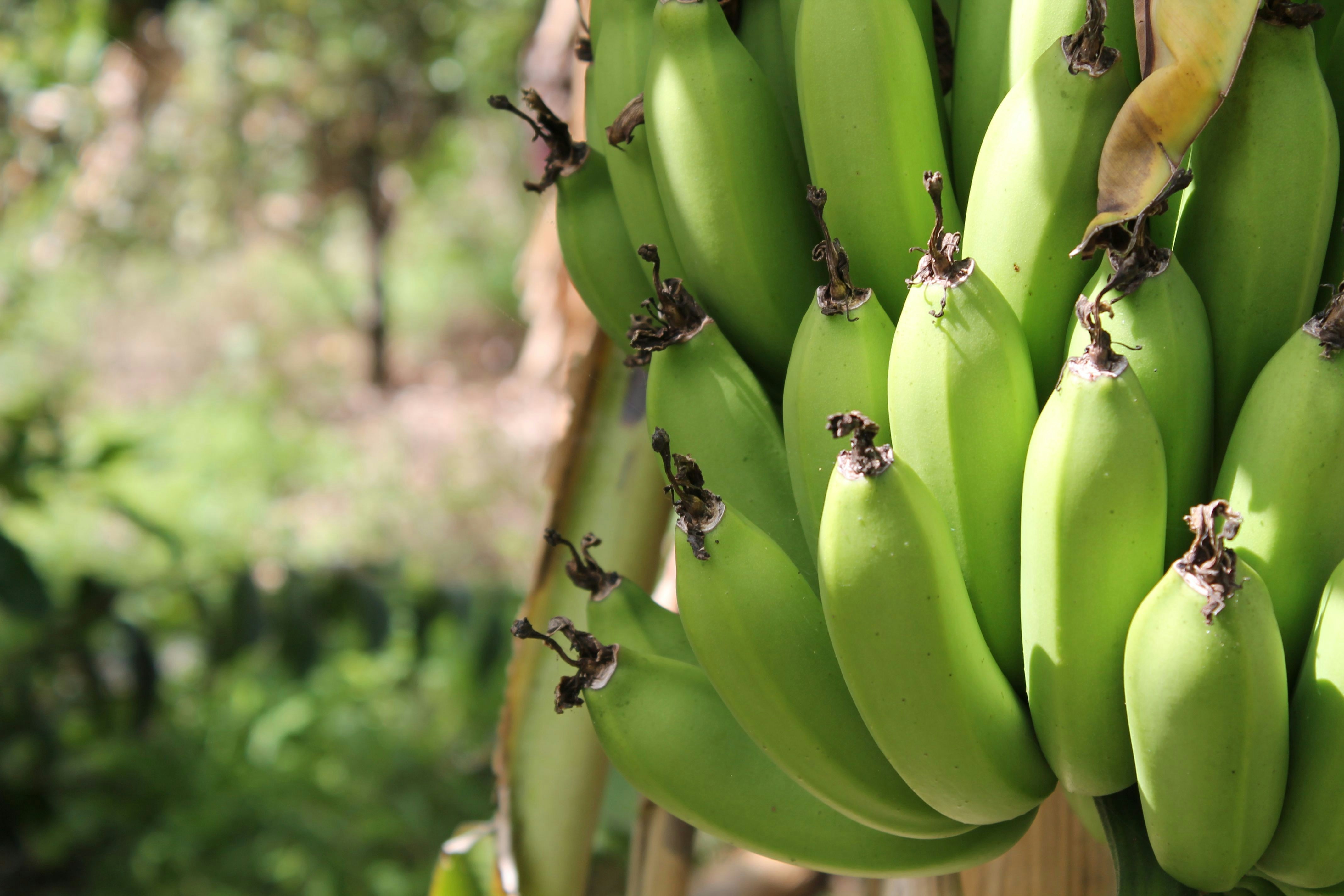 Photo by joshuajumarie