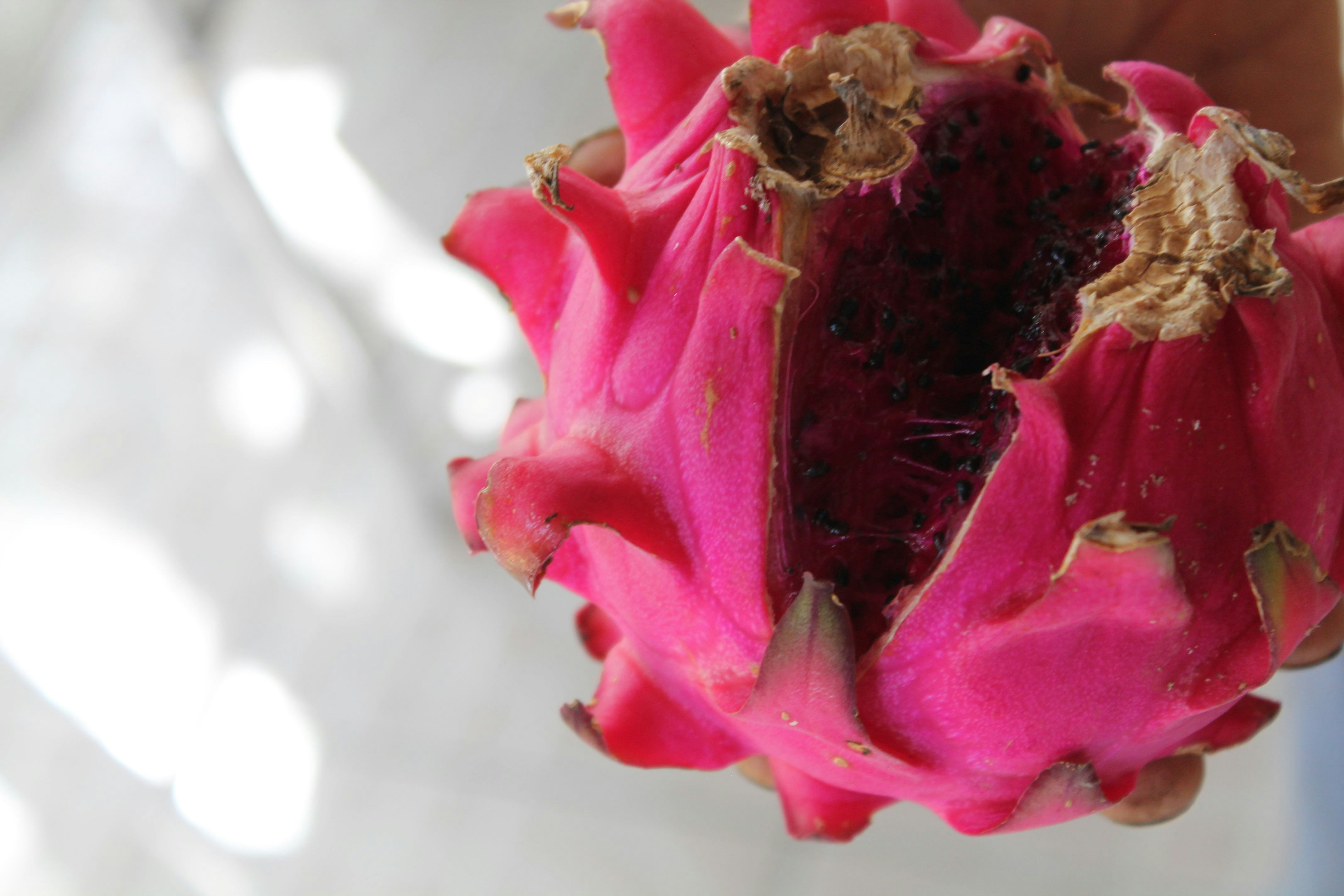 Photo by joshuajumarie