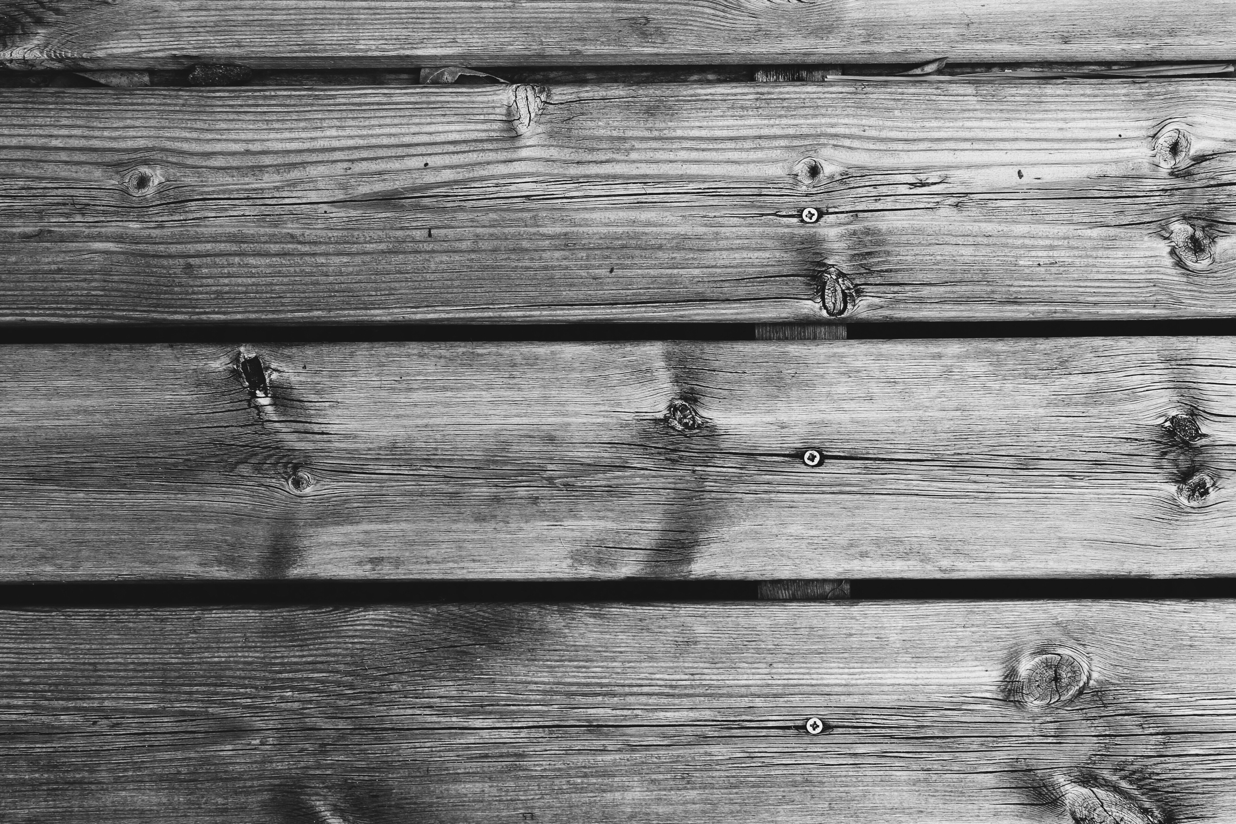 Photo by joshuajumarie