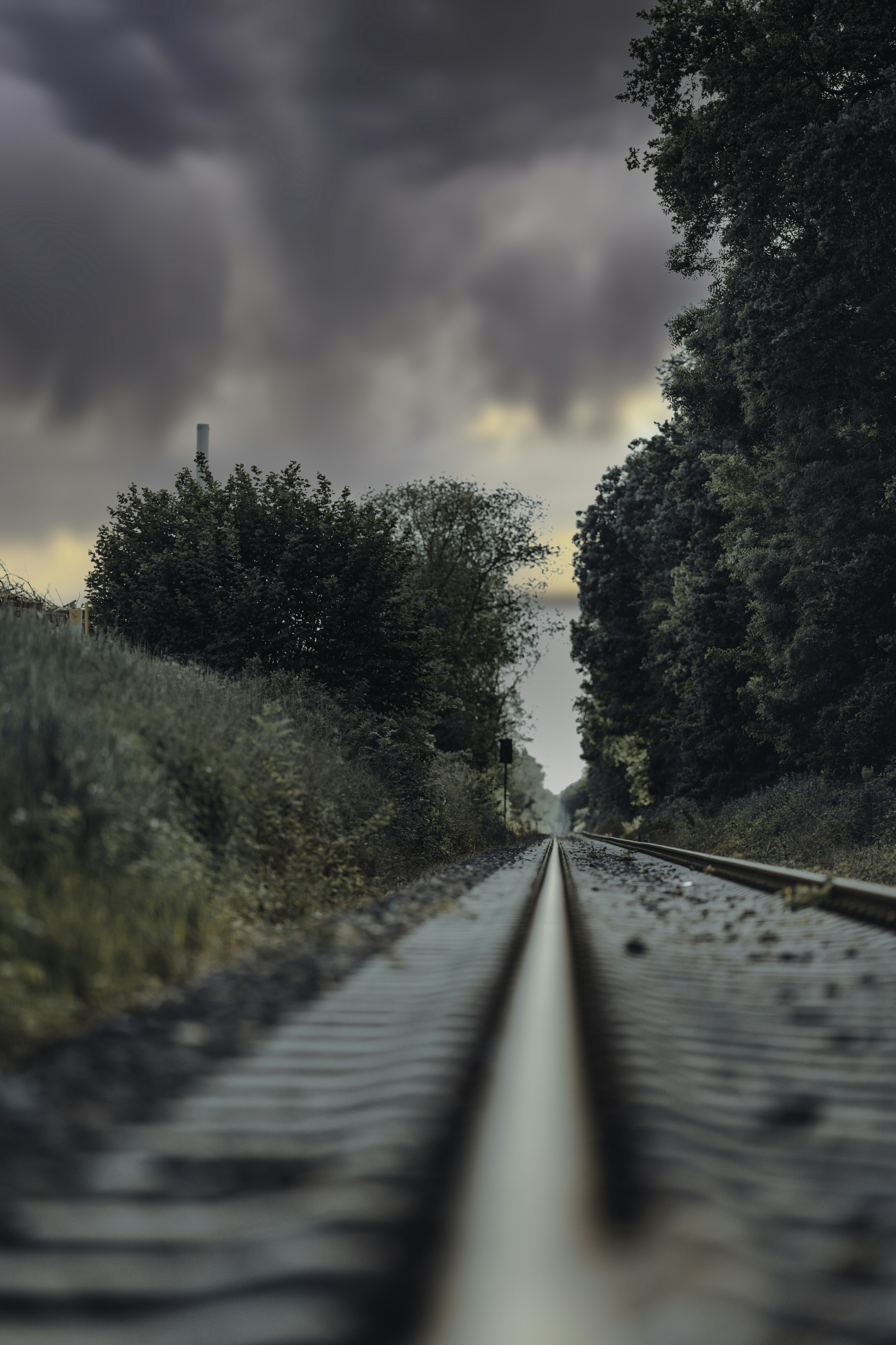 Photo by omarvellous14