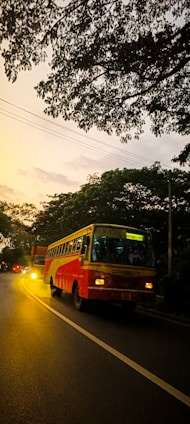 A bright yellow bus driving along a tree-lined city street during sunset.